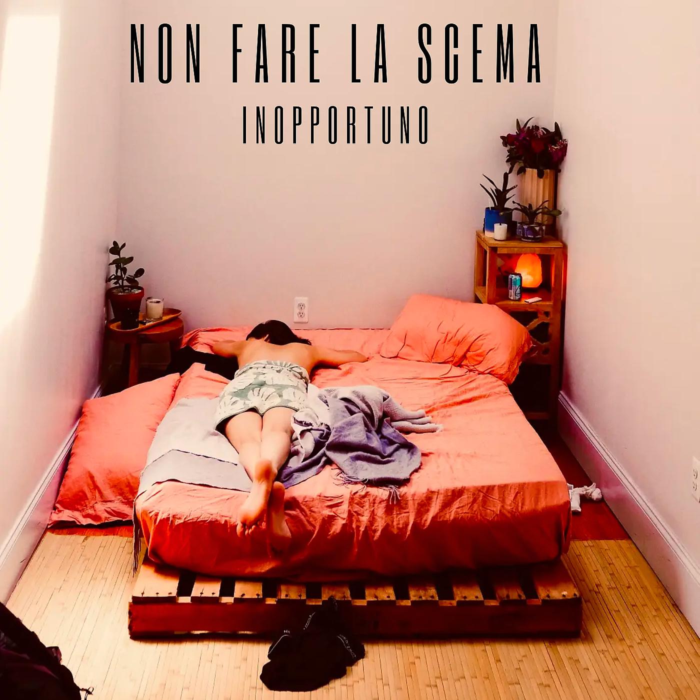Постер альбома Non Fare La Scema