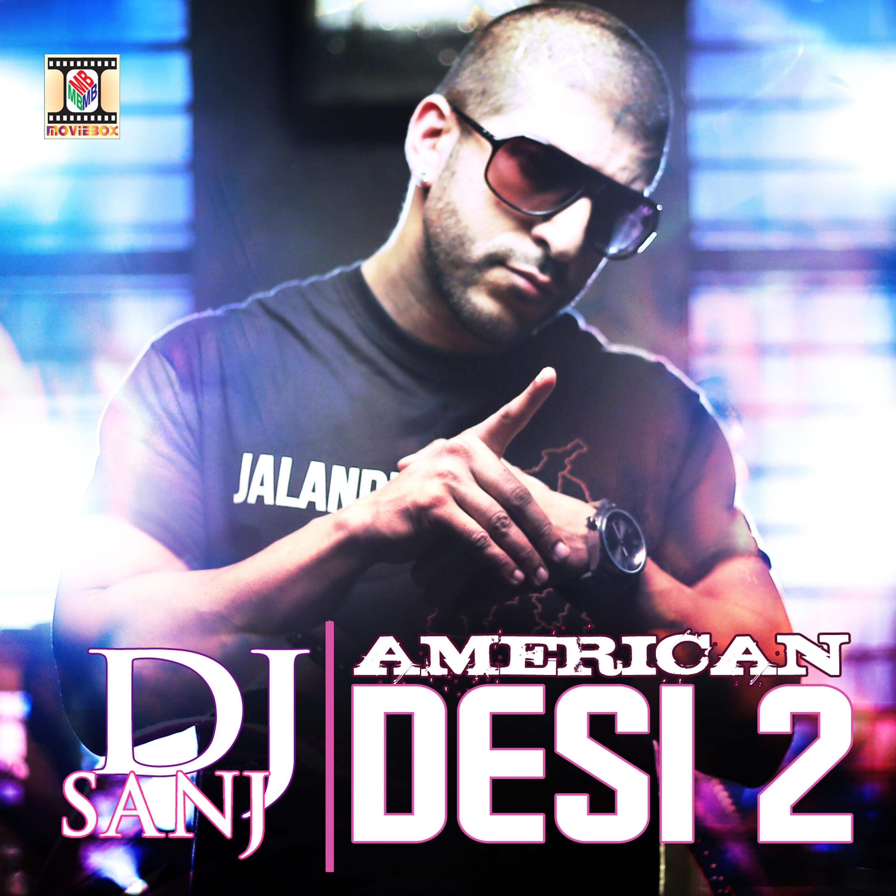 Постер альбома American Desi 2