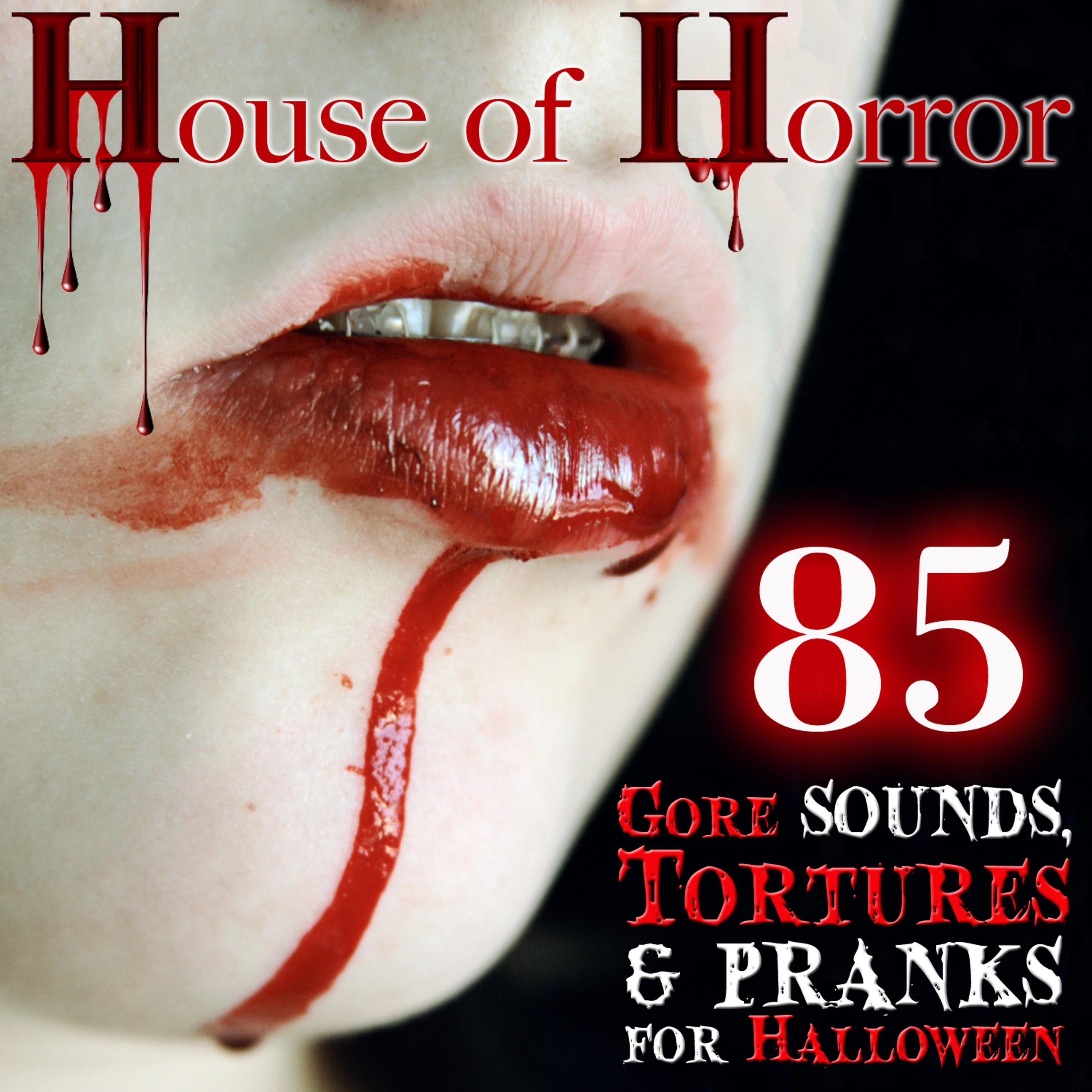 Постер альбома House of Horror. 85 Gore Sounds, Tortures and Pranks for Halloween