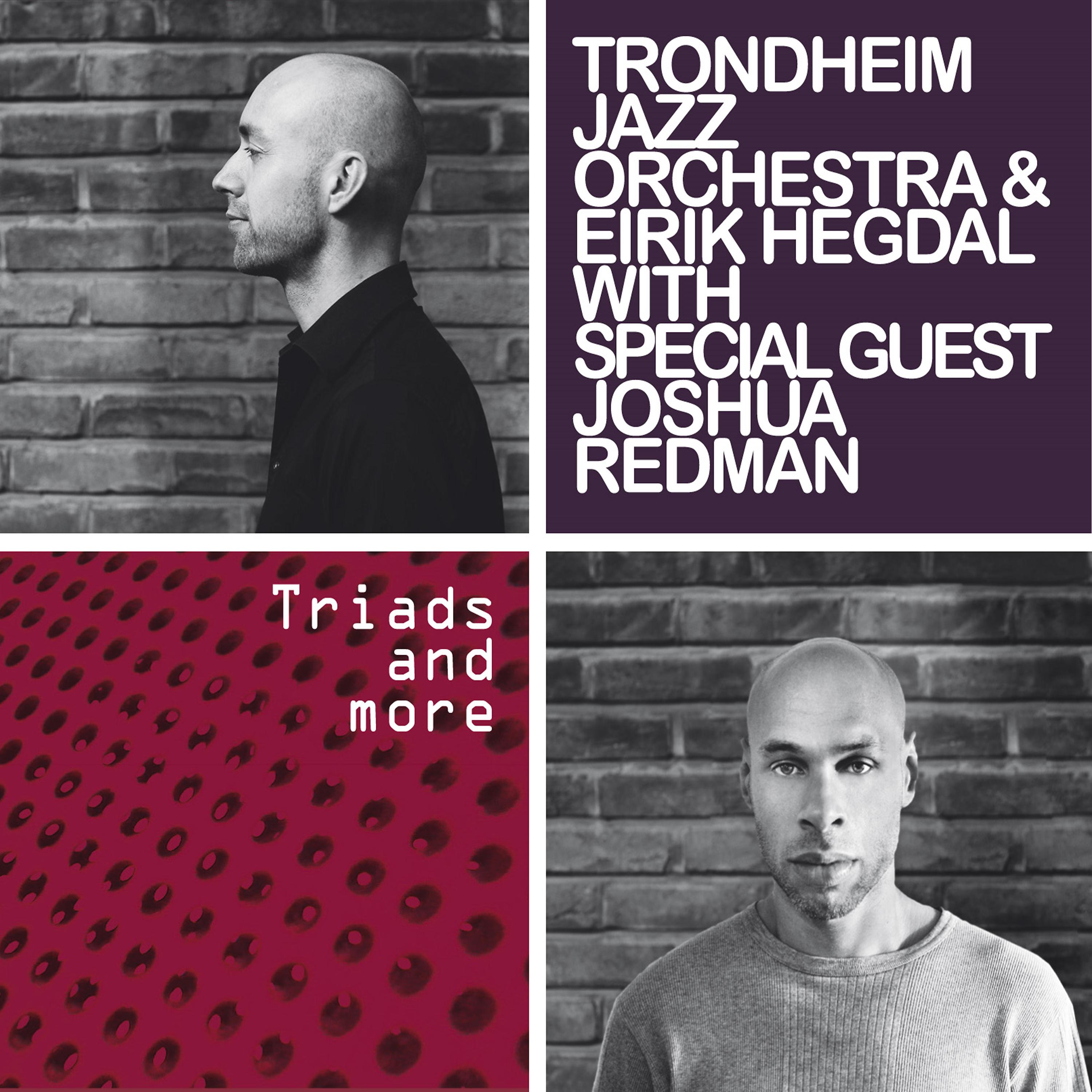 Постер альбома Triads and More (with Special Guest Joshua Redman)