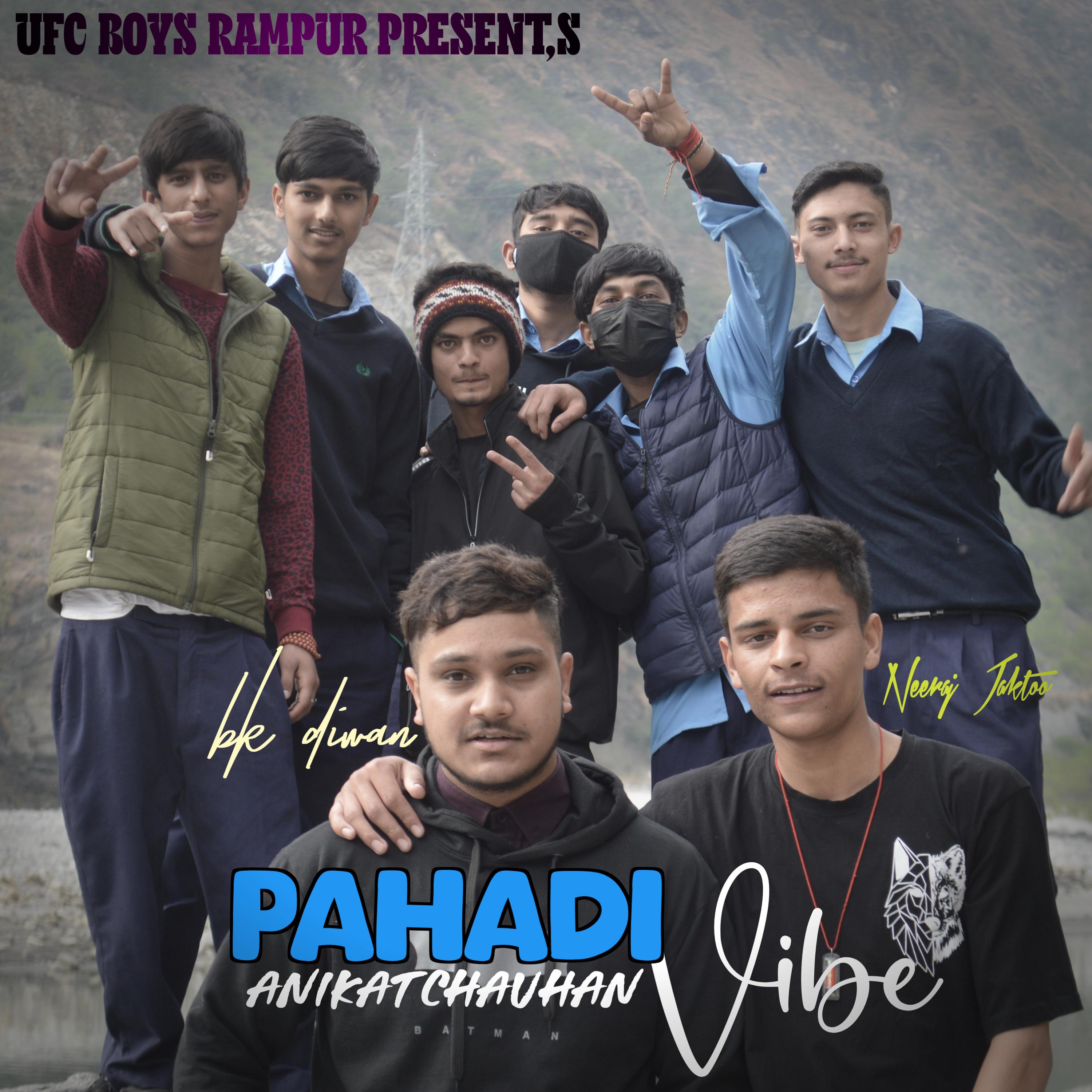 Постер альбома Pahadi Vibe