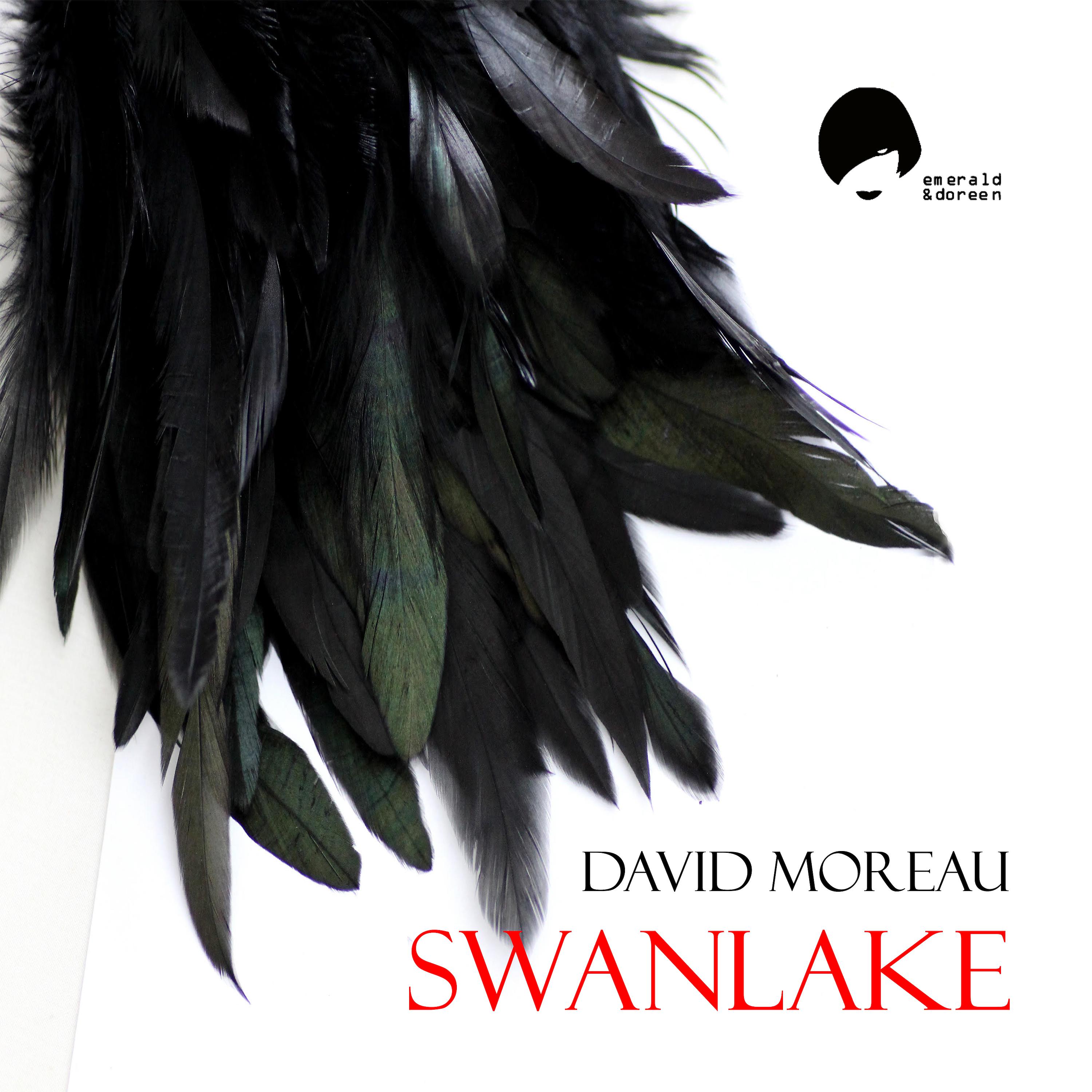 Постер альбома Swanlake