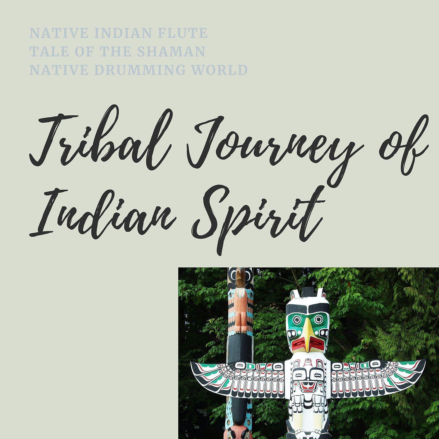 Постер альбома Tribal Journey of Indian Spirit