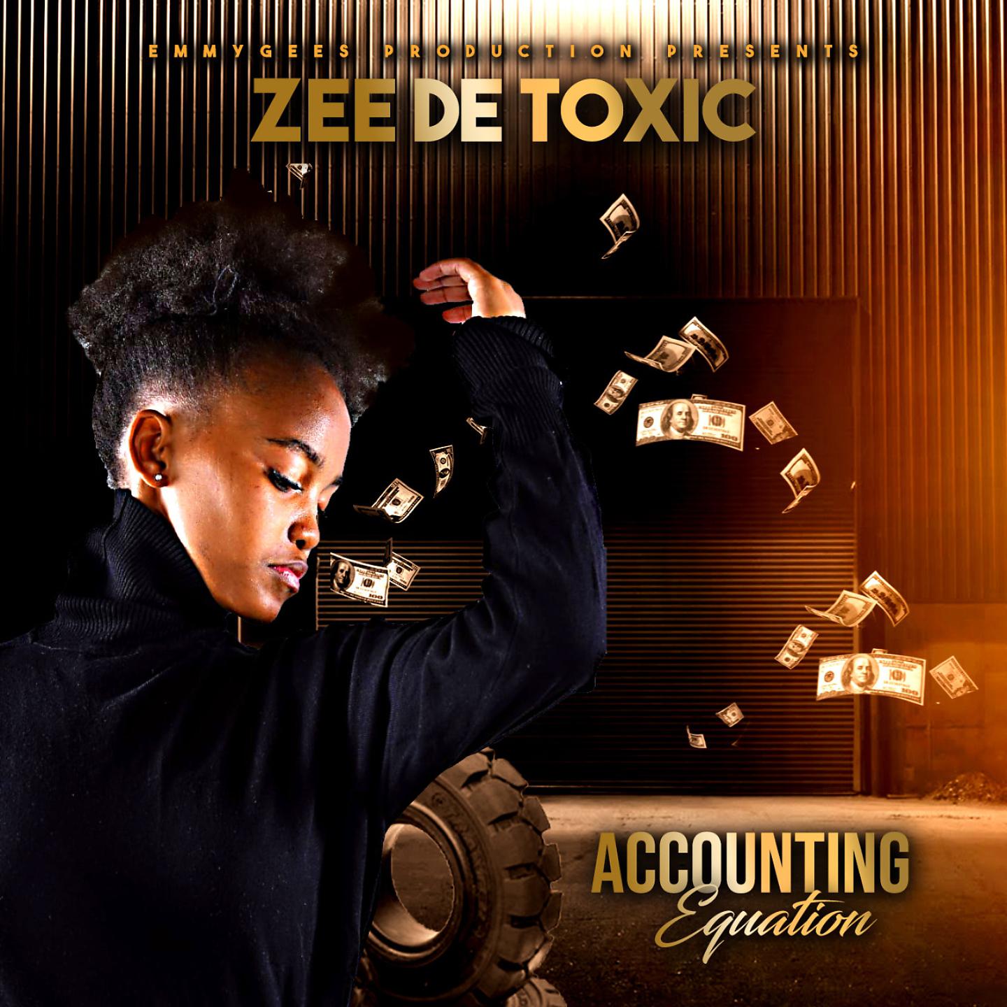 Постер альбома Accounting Equation