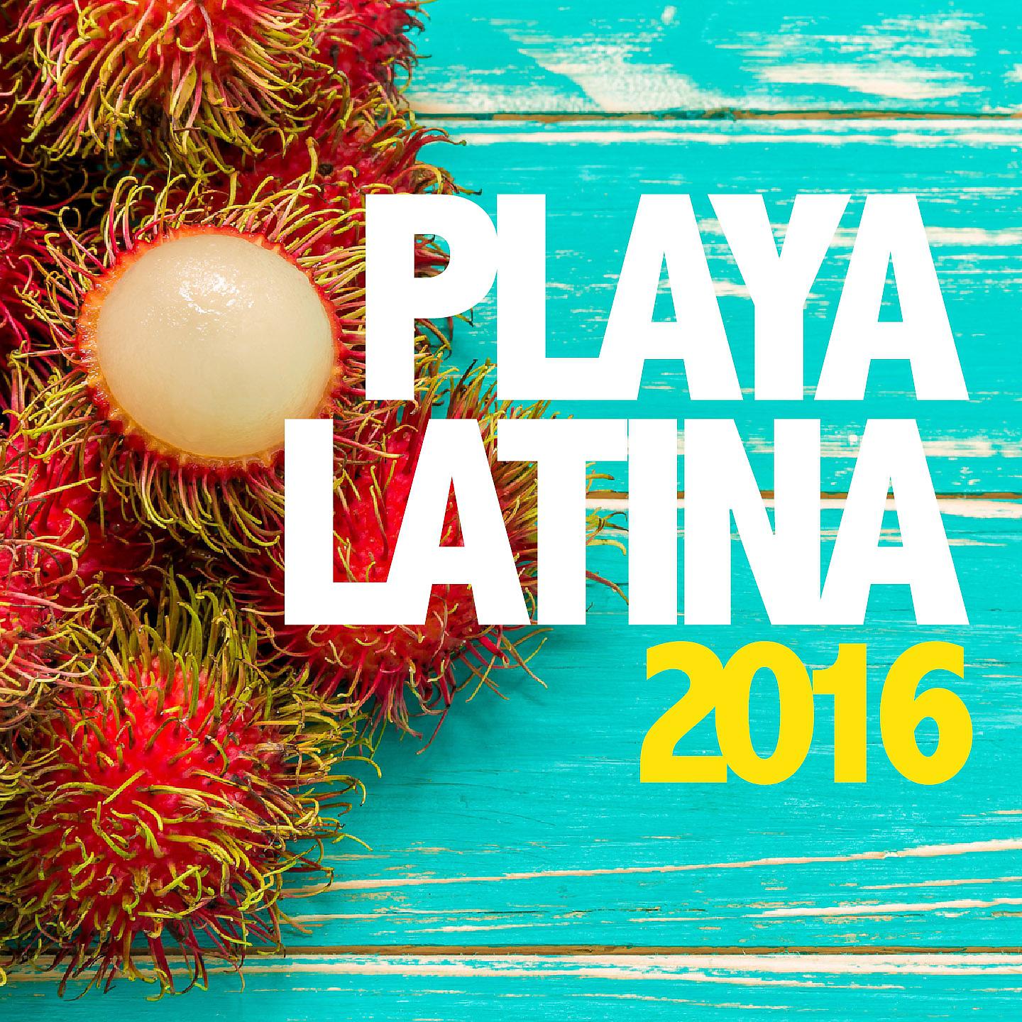 Постер альбома Playa Latina 2016