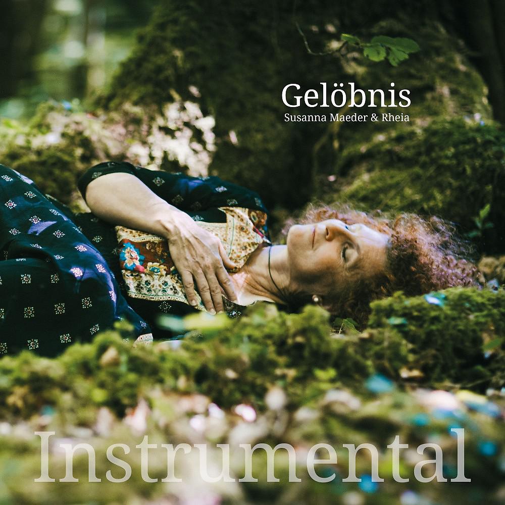 Постер альбома Gelöbnis (Instrumental)