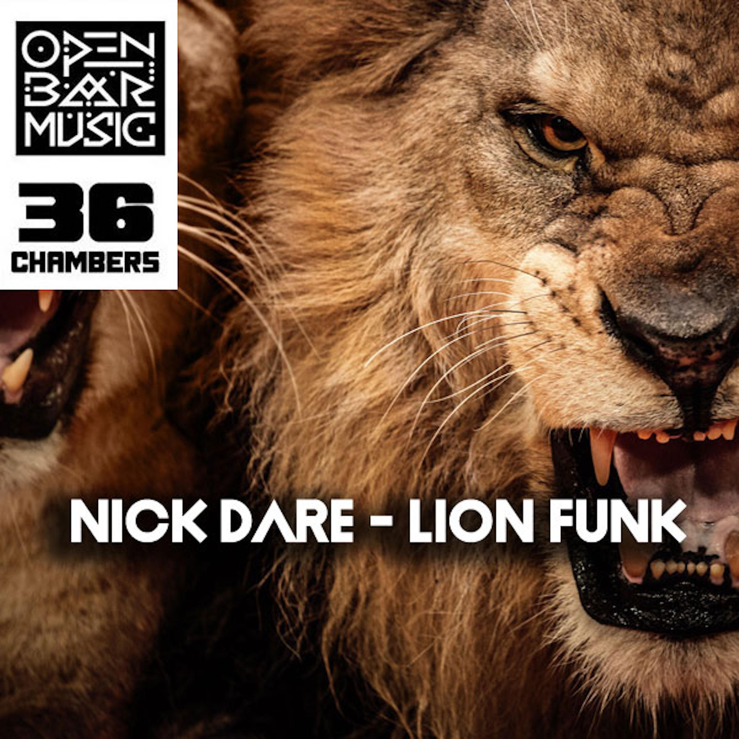 Постер альбома Lion Funk