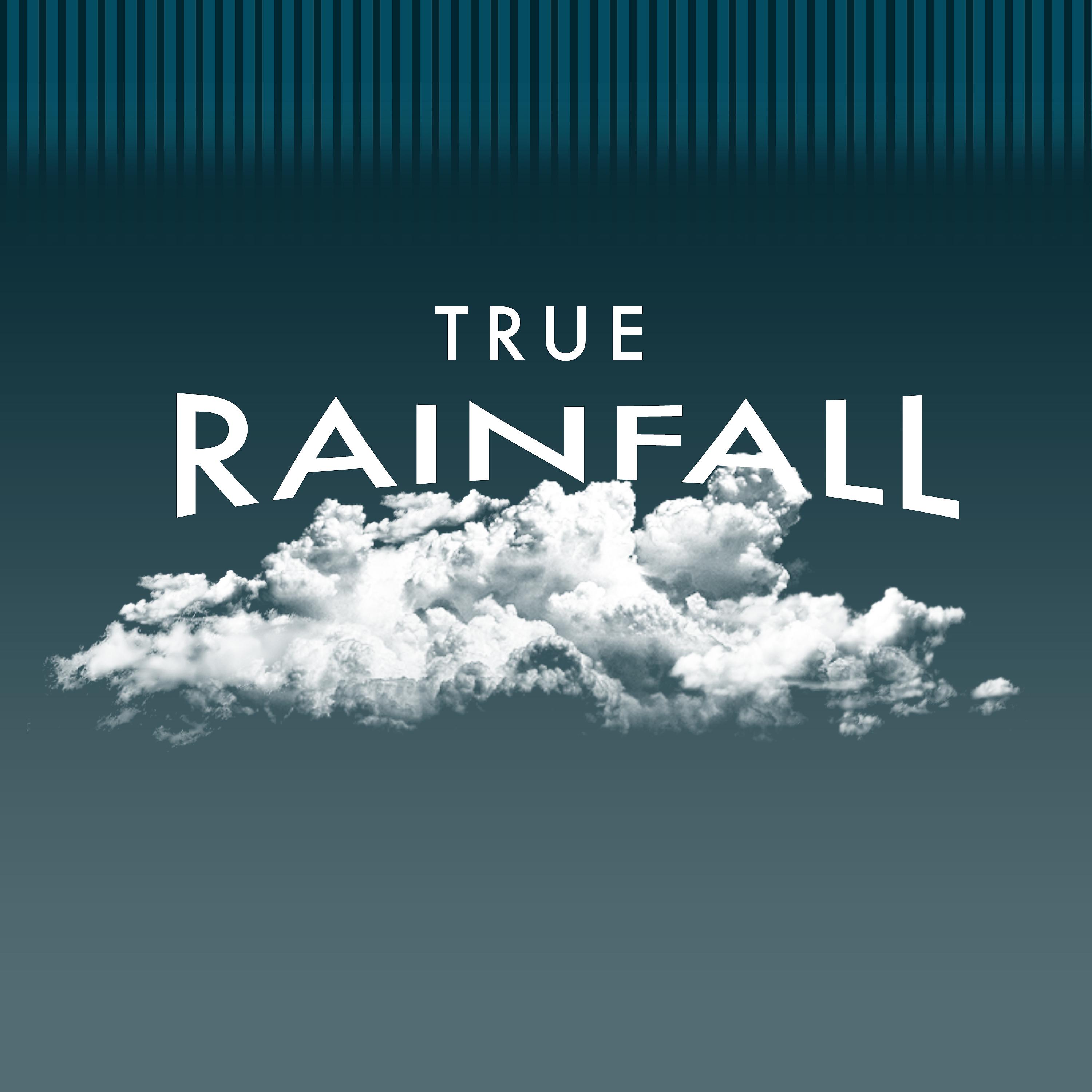 Постер альбома True Rainfall