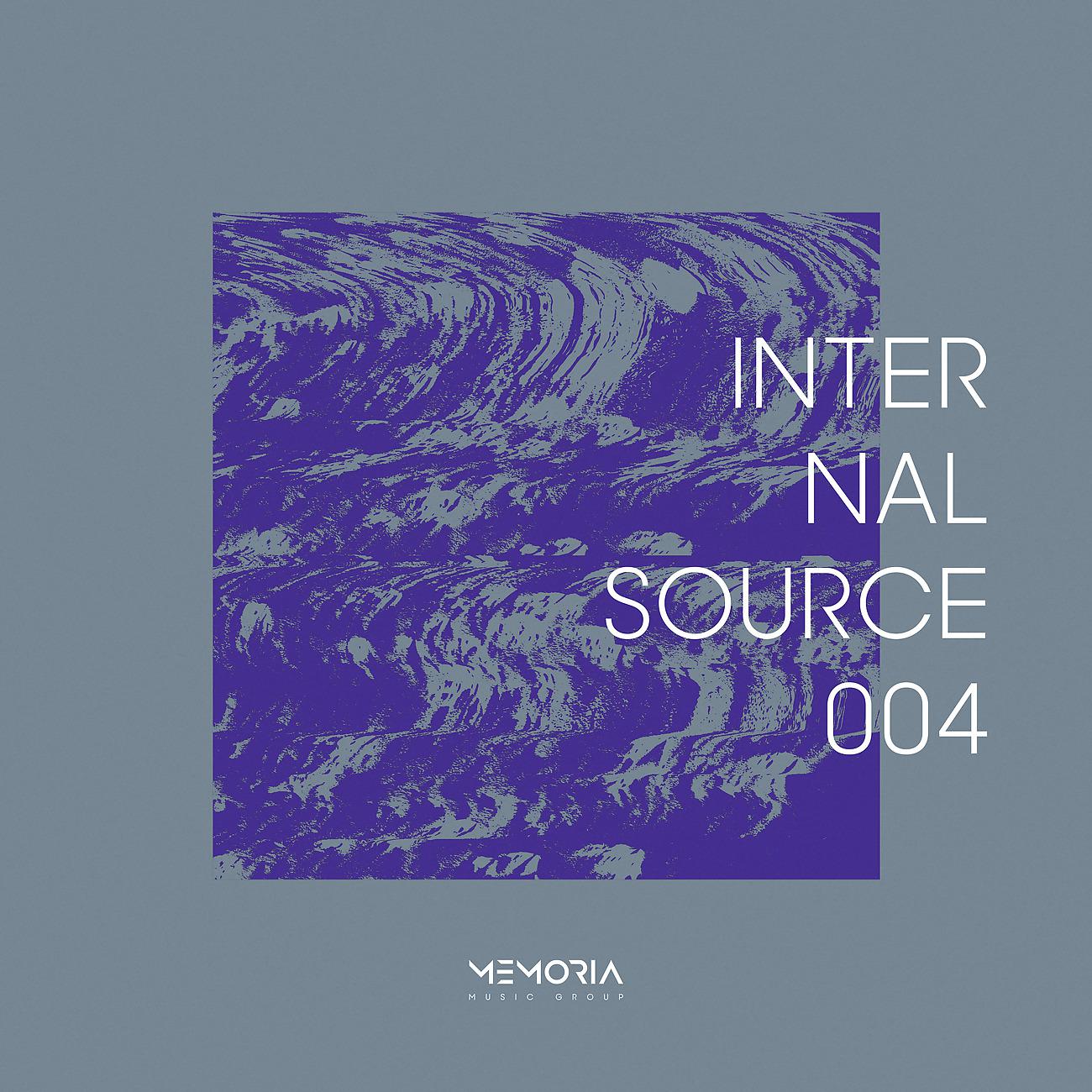Постер альбома Internal Source 004