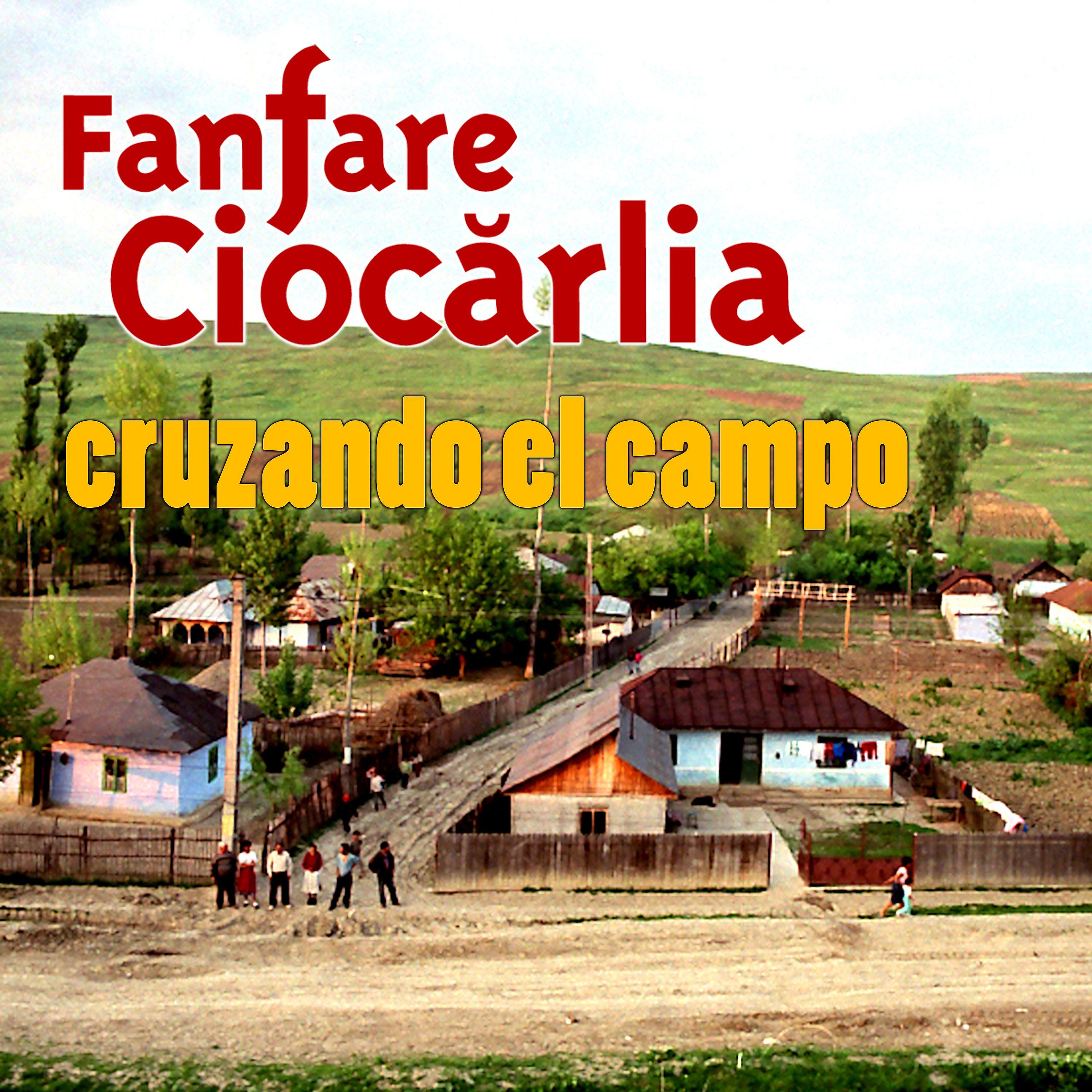 Постер альбома Cruzando el Campo