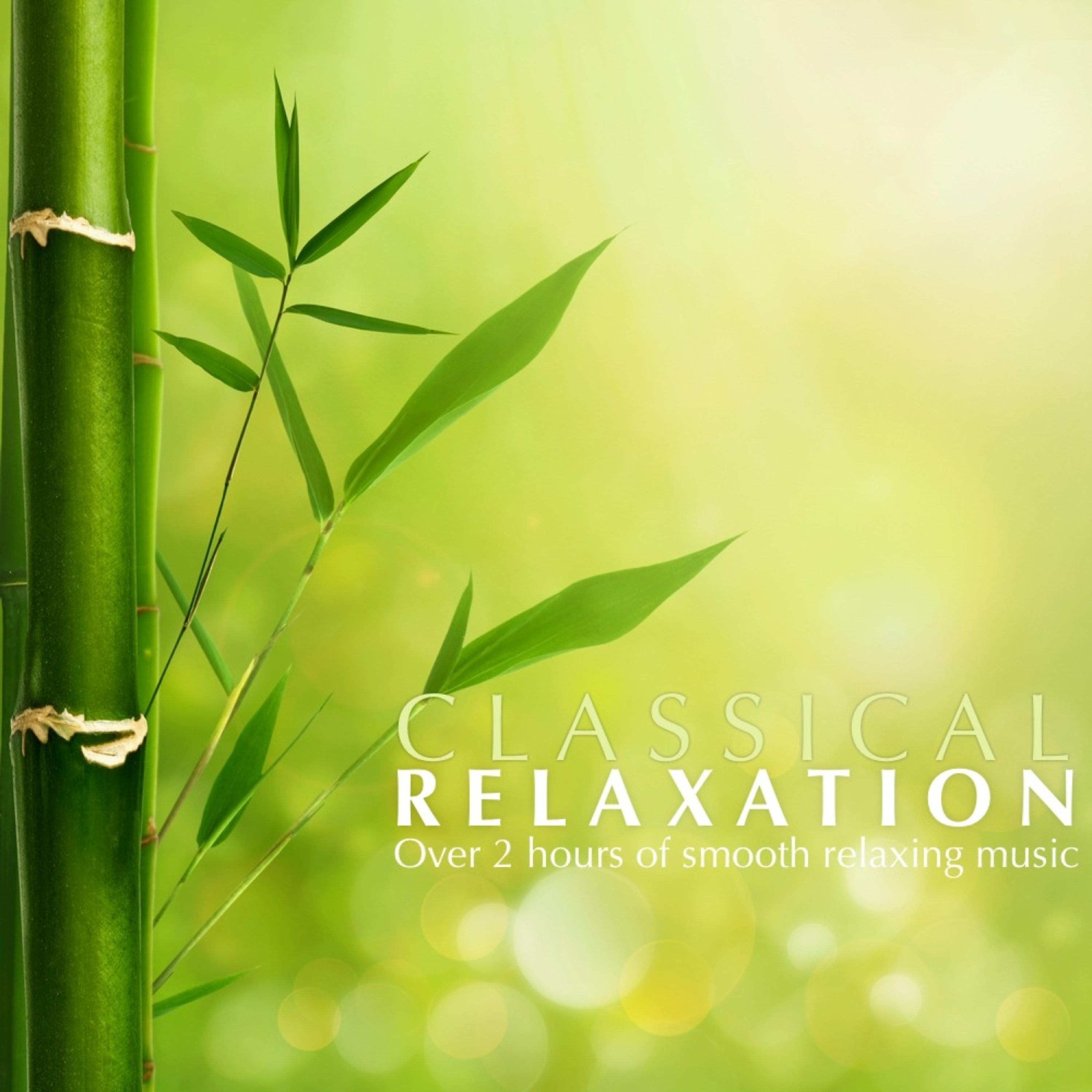 Постер альбома Classical Relaxation