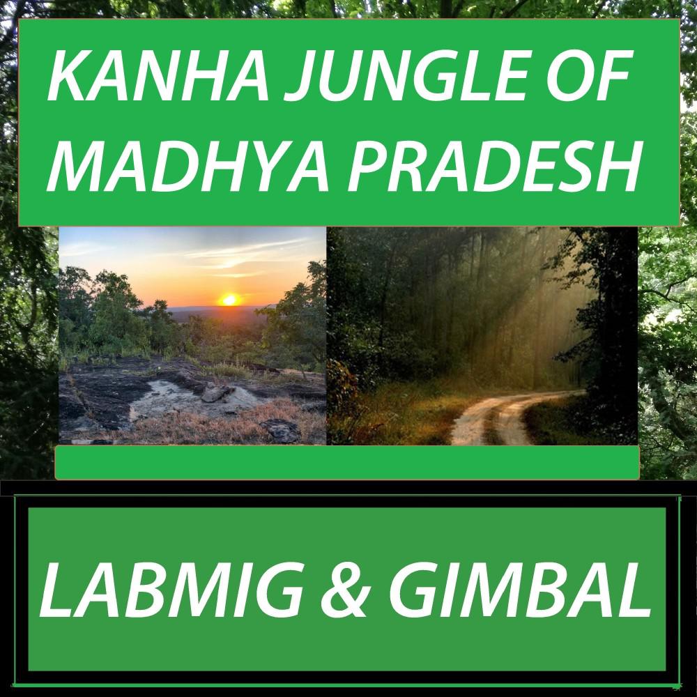 Постер альбома Kanha Jungle of Madhya Pradesh