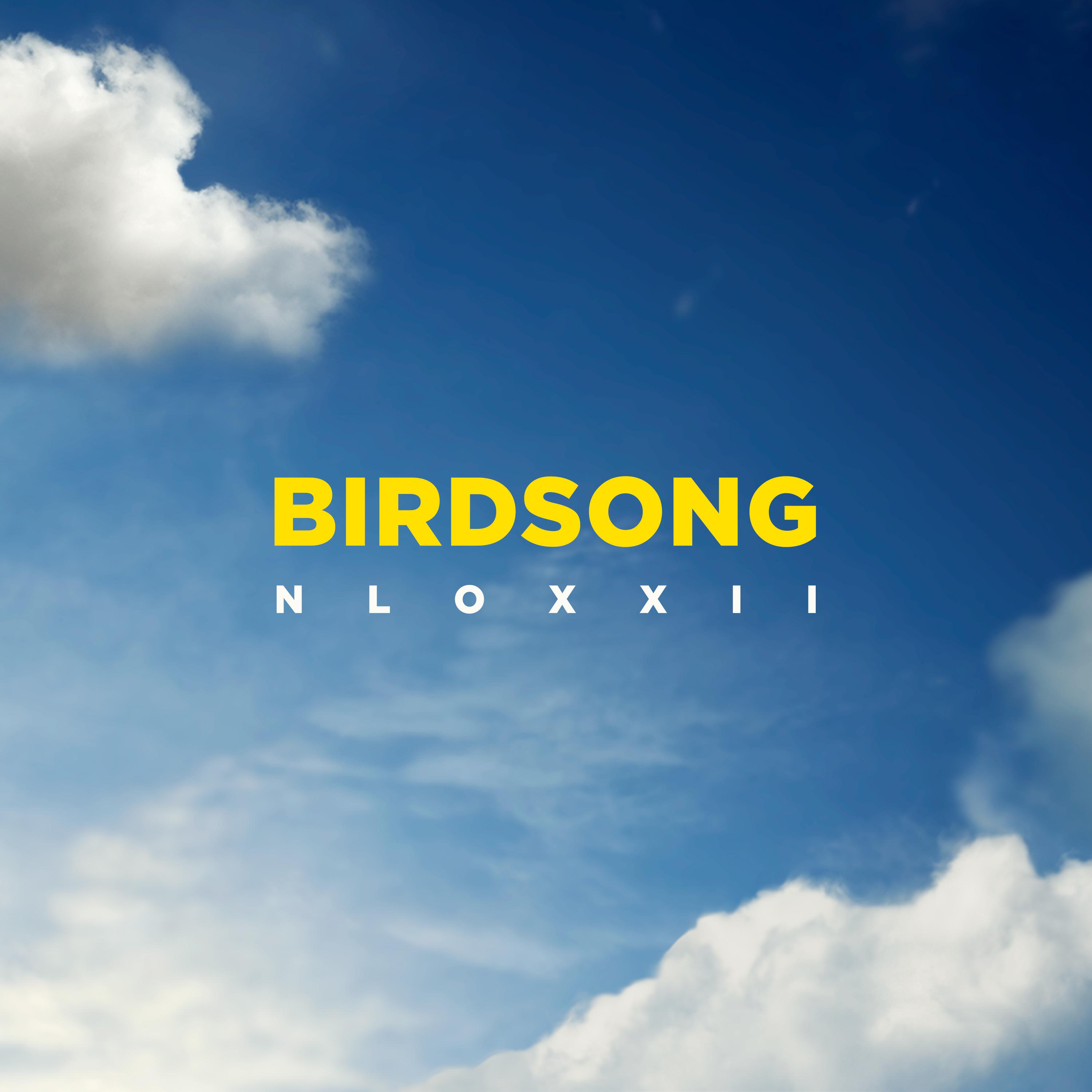 Постер альбома Birdsong