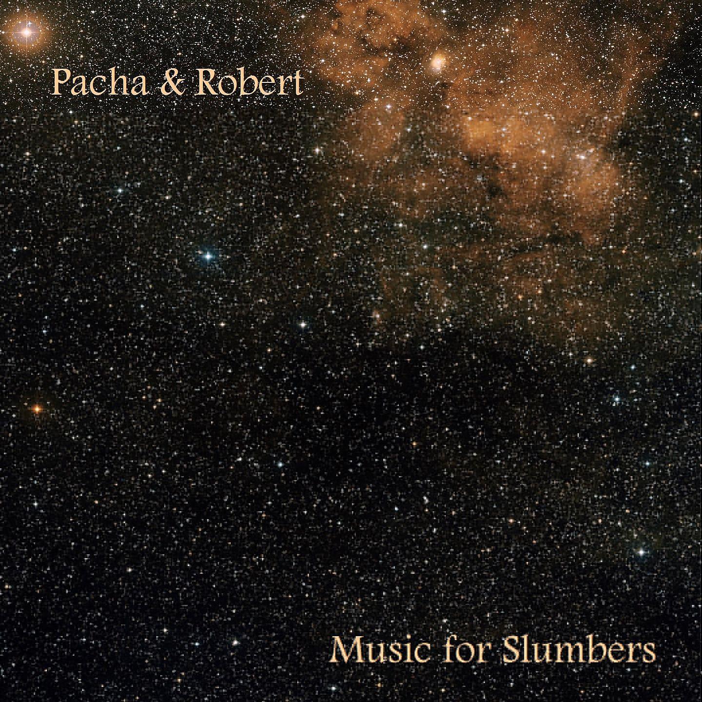 Постер альбома Music For Slumbers