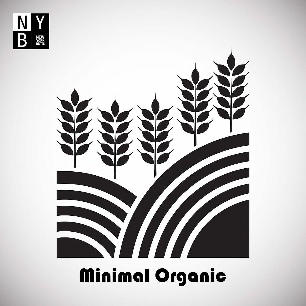 Постер альбома Minimal Organic