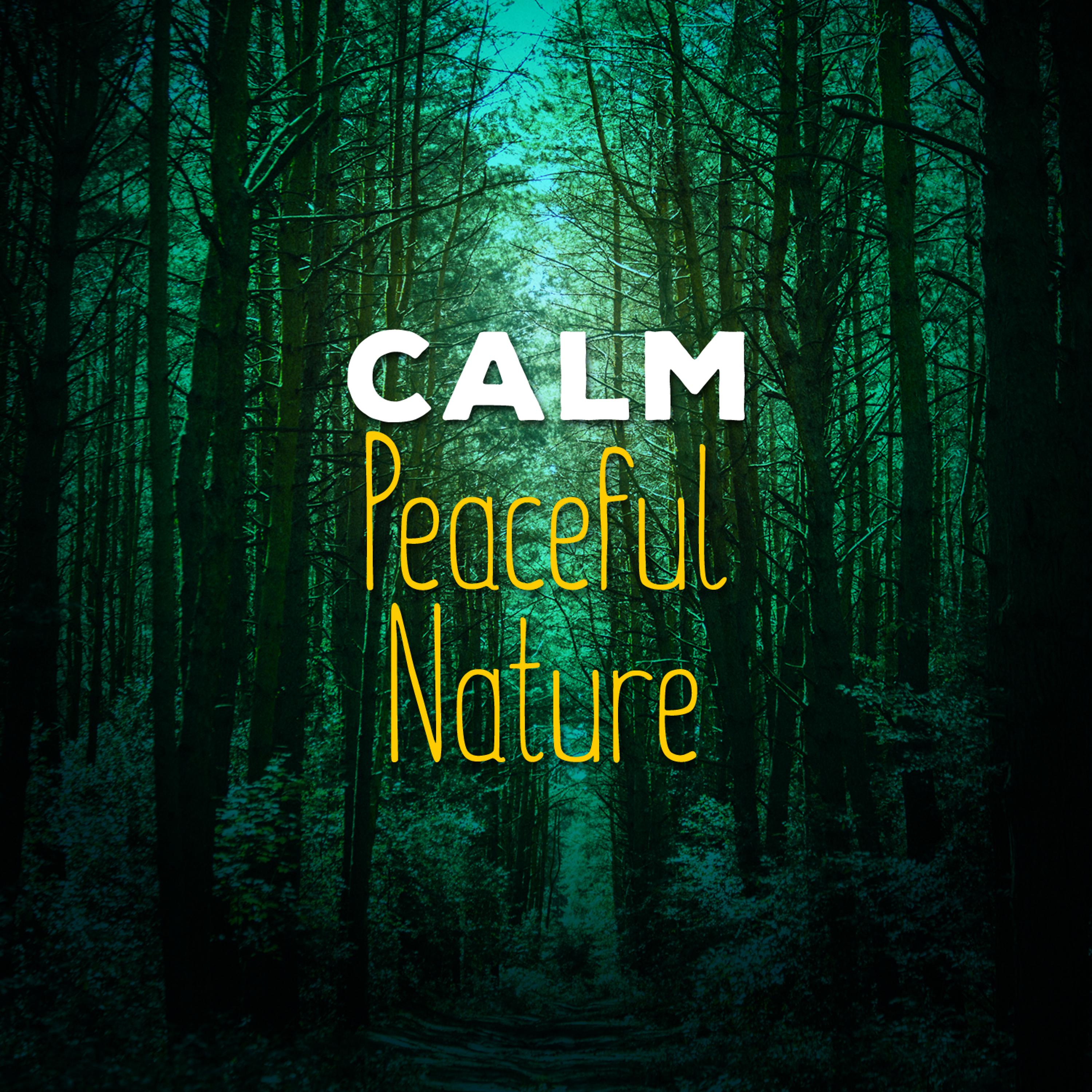 Постер альбома Calm: Peaceful Nature