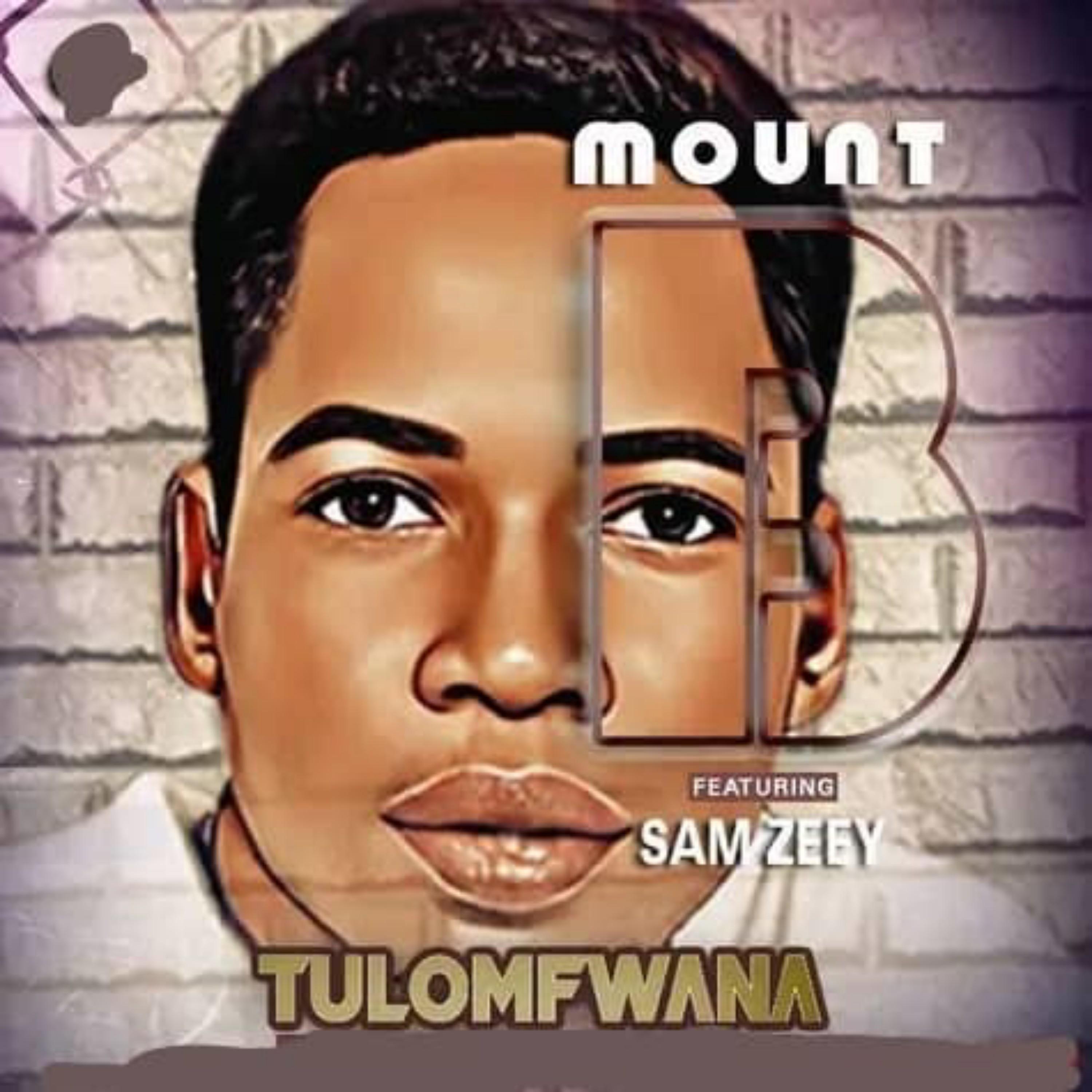 Постер альбома Tulomfwana (feat. Sam Zee)