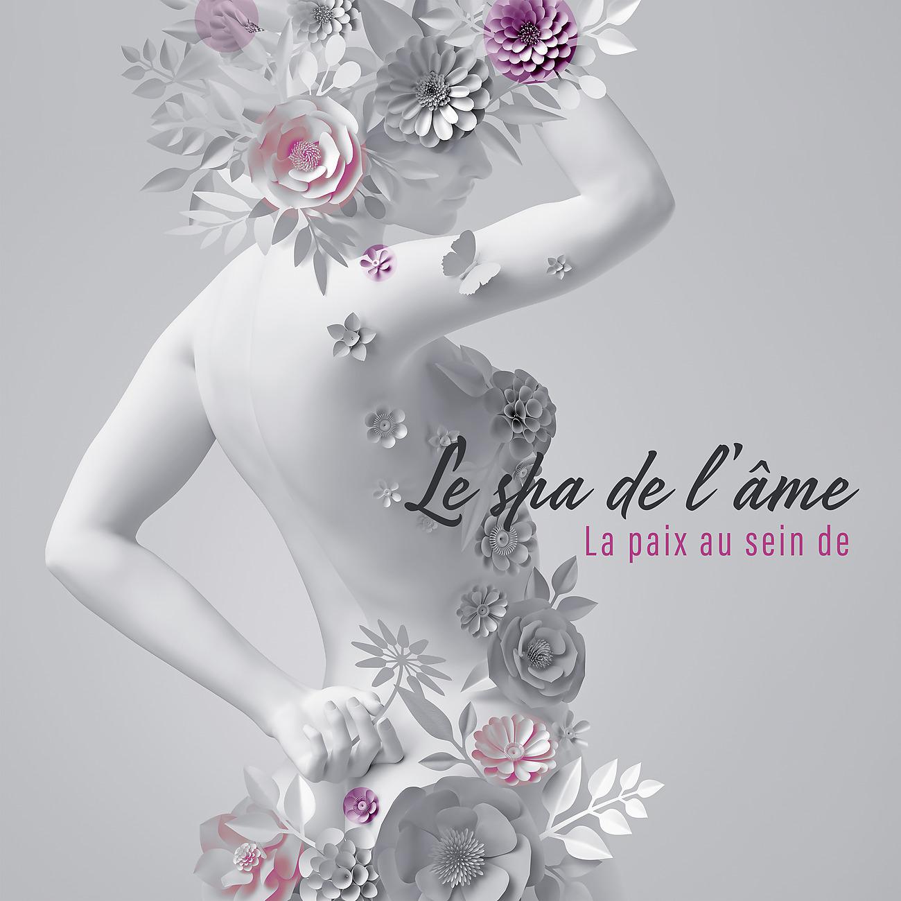 Постер альбома Le spa de l'âme
