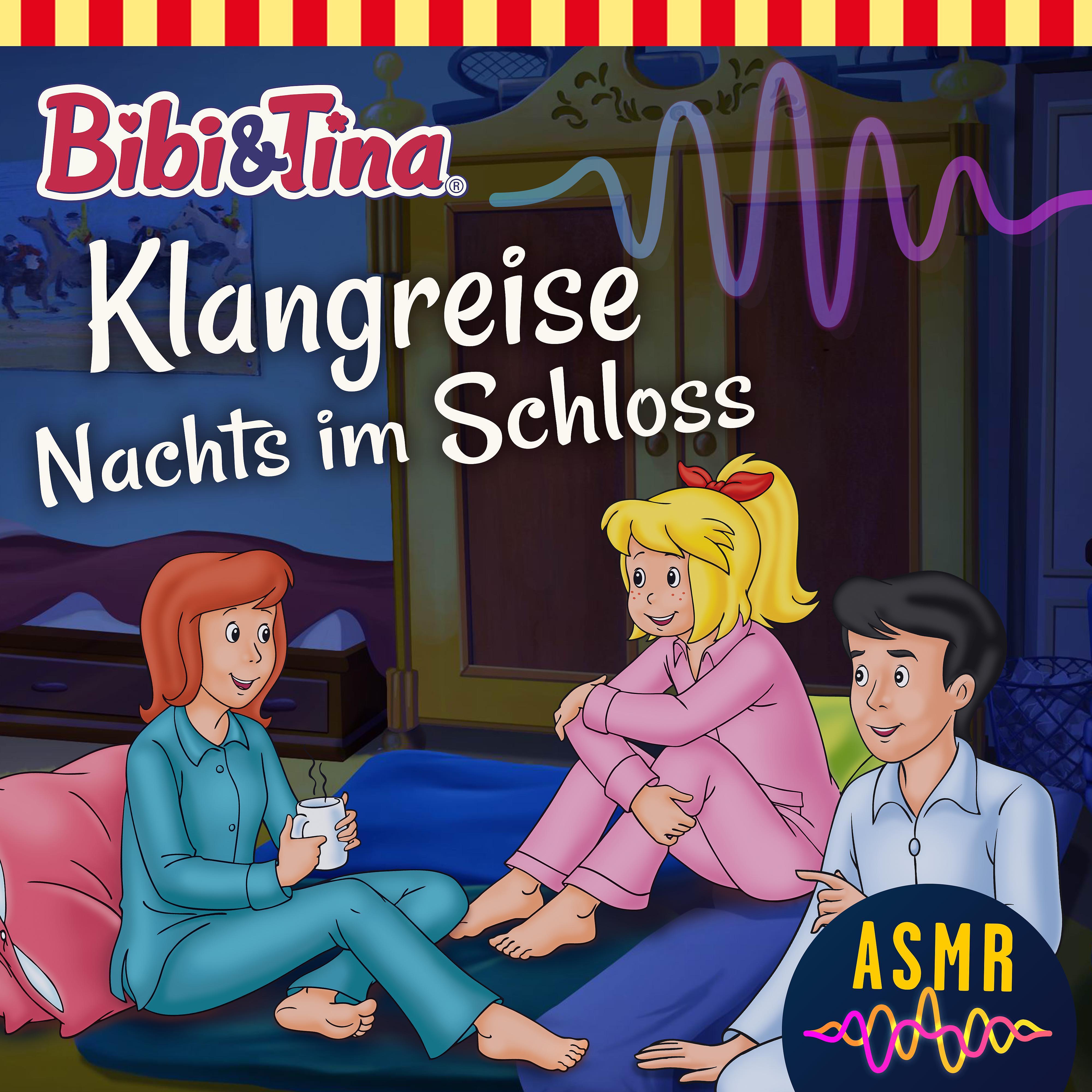 Постер альбома Klangreise Nachts im Schloss (ASMR)