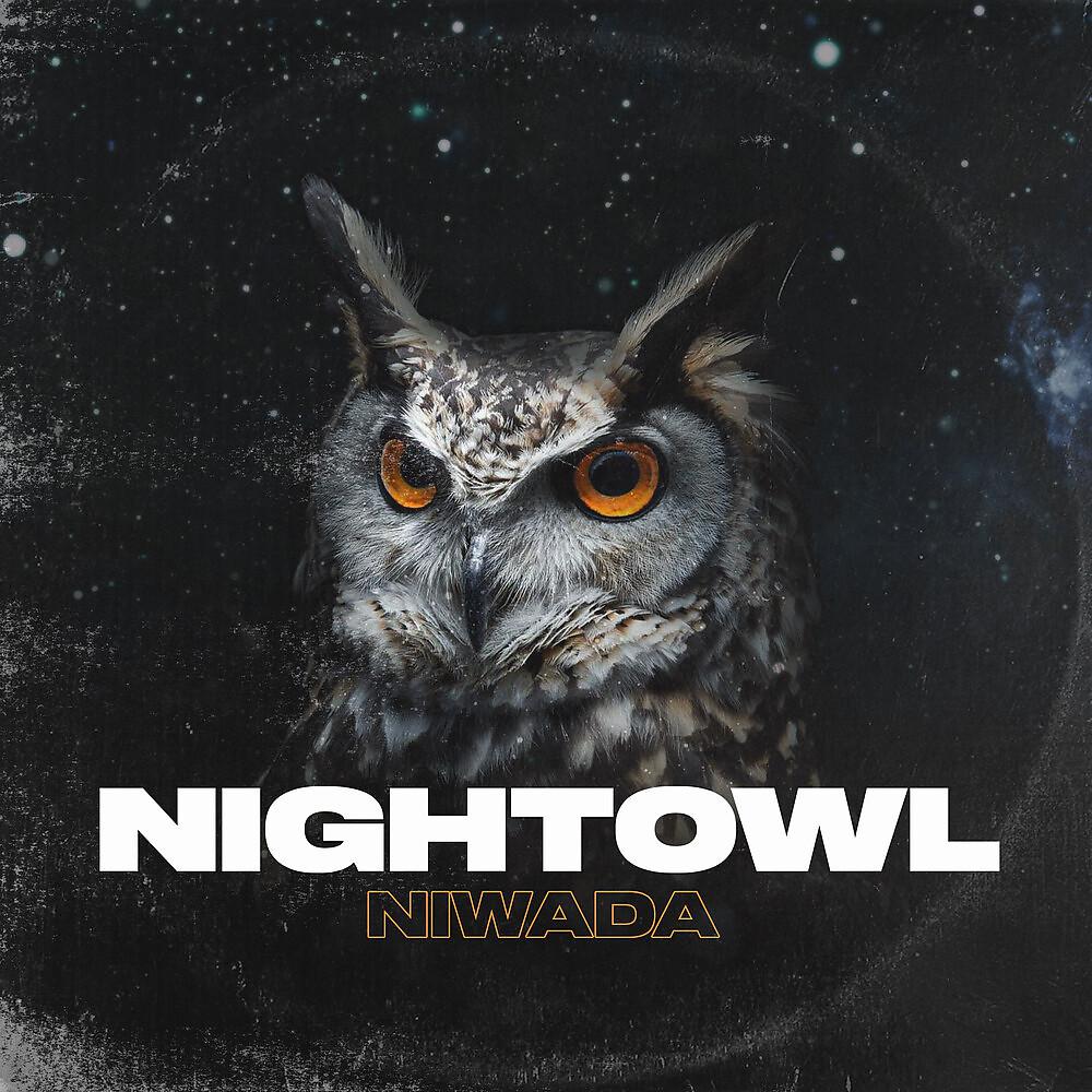 Постер альбома Nightowl
