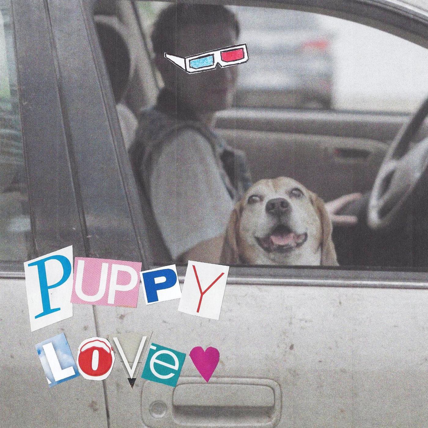 Постер альбома Puppy Love