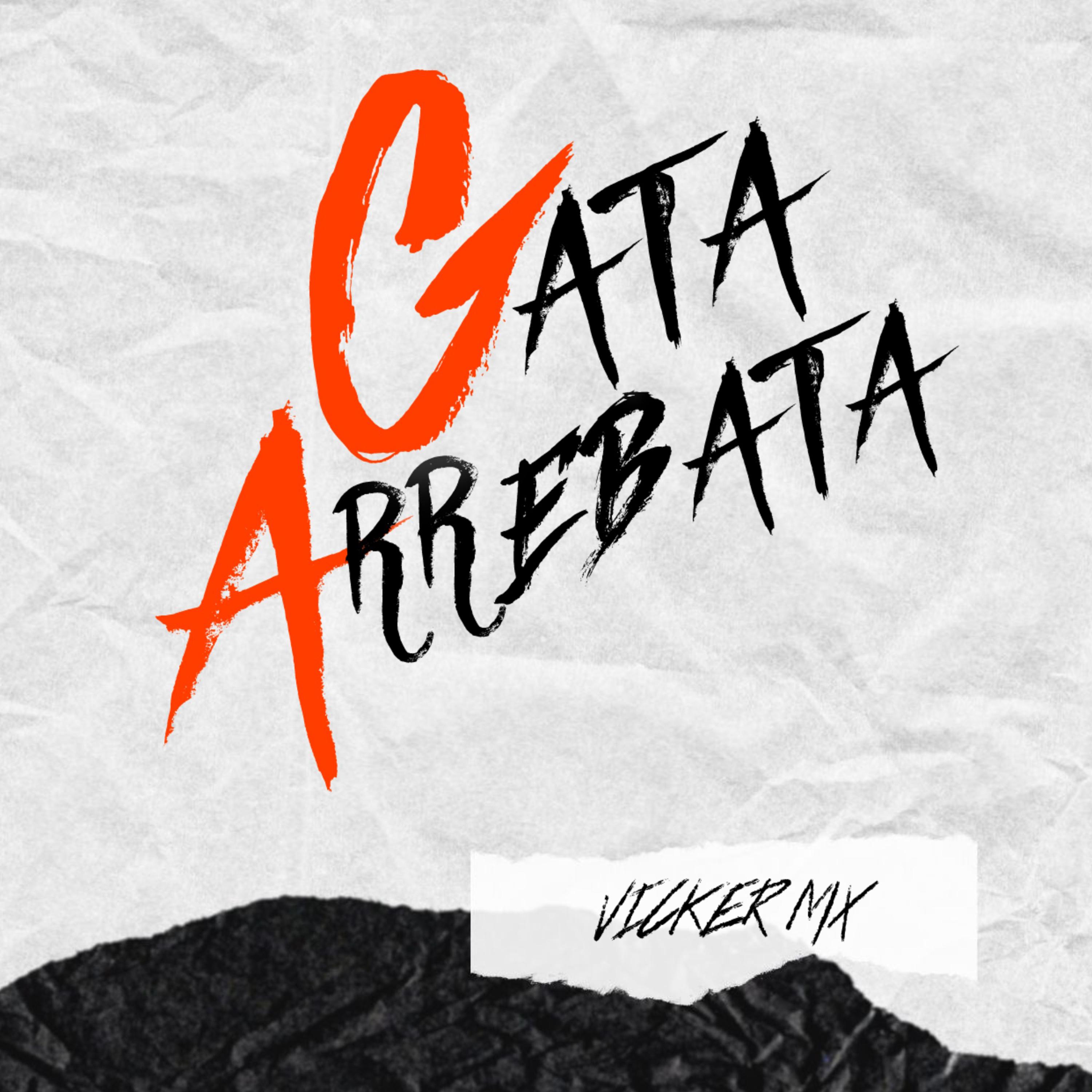 Постер альбома Gata Arrebata