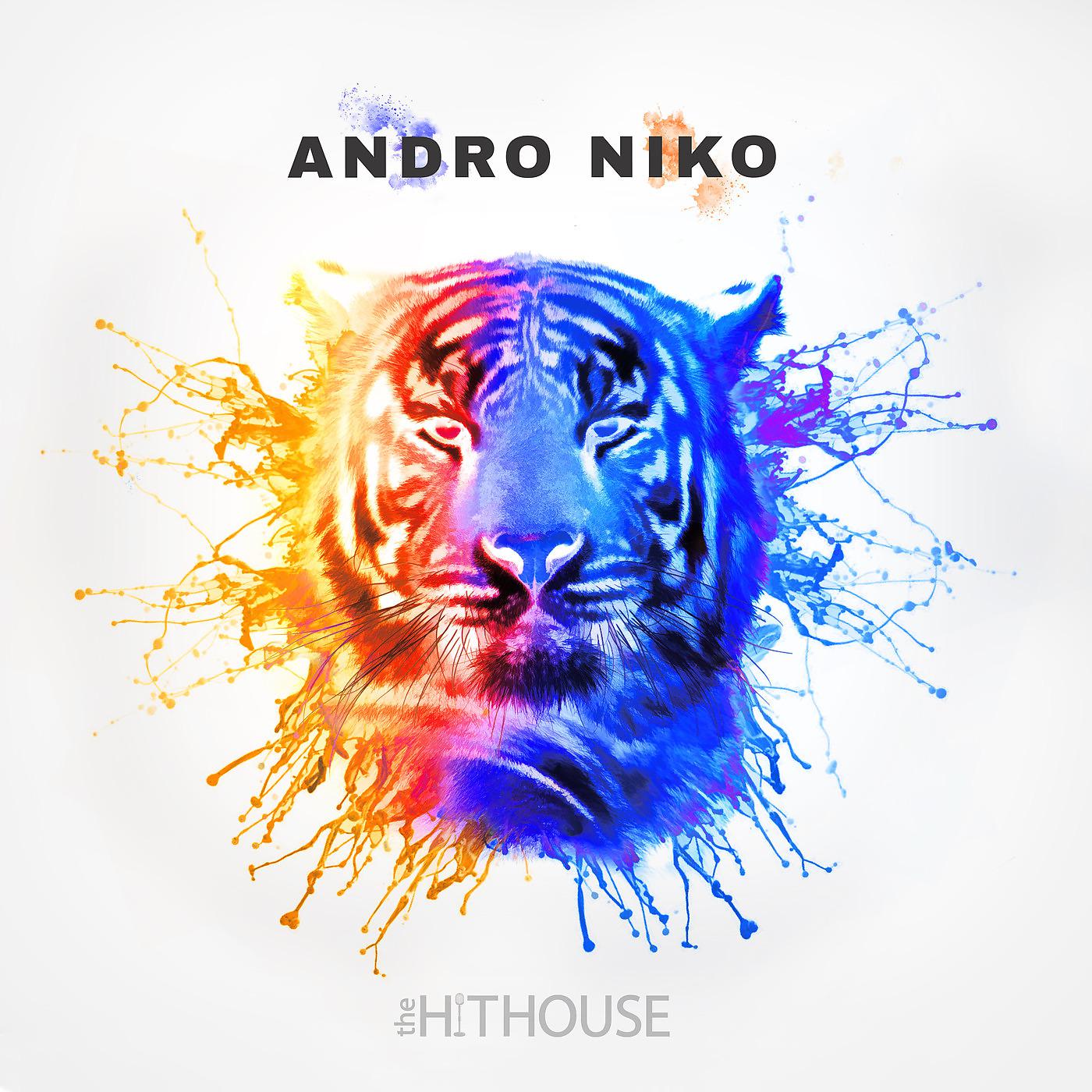 Постер альбома Andro Niko
