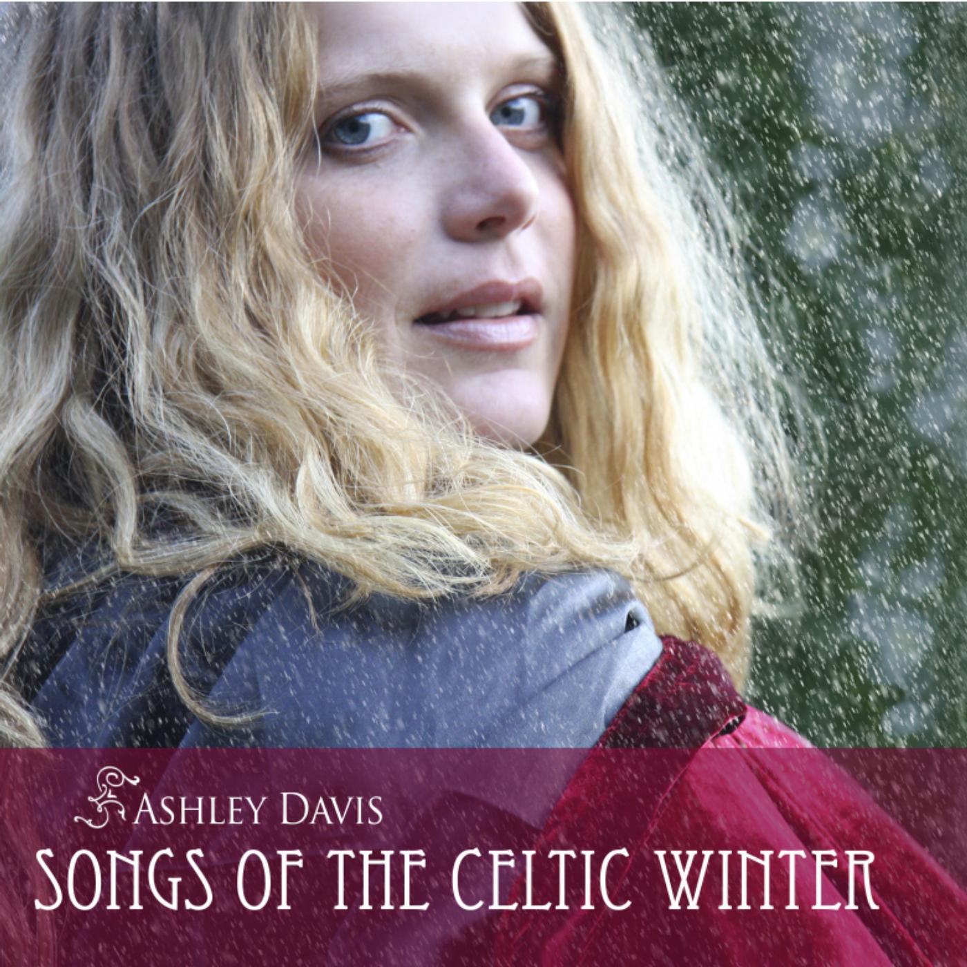 Постер альбома Songs of the Celtic Winter