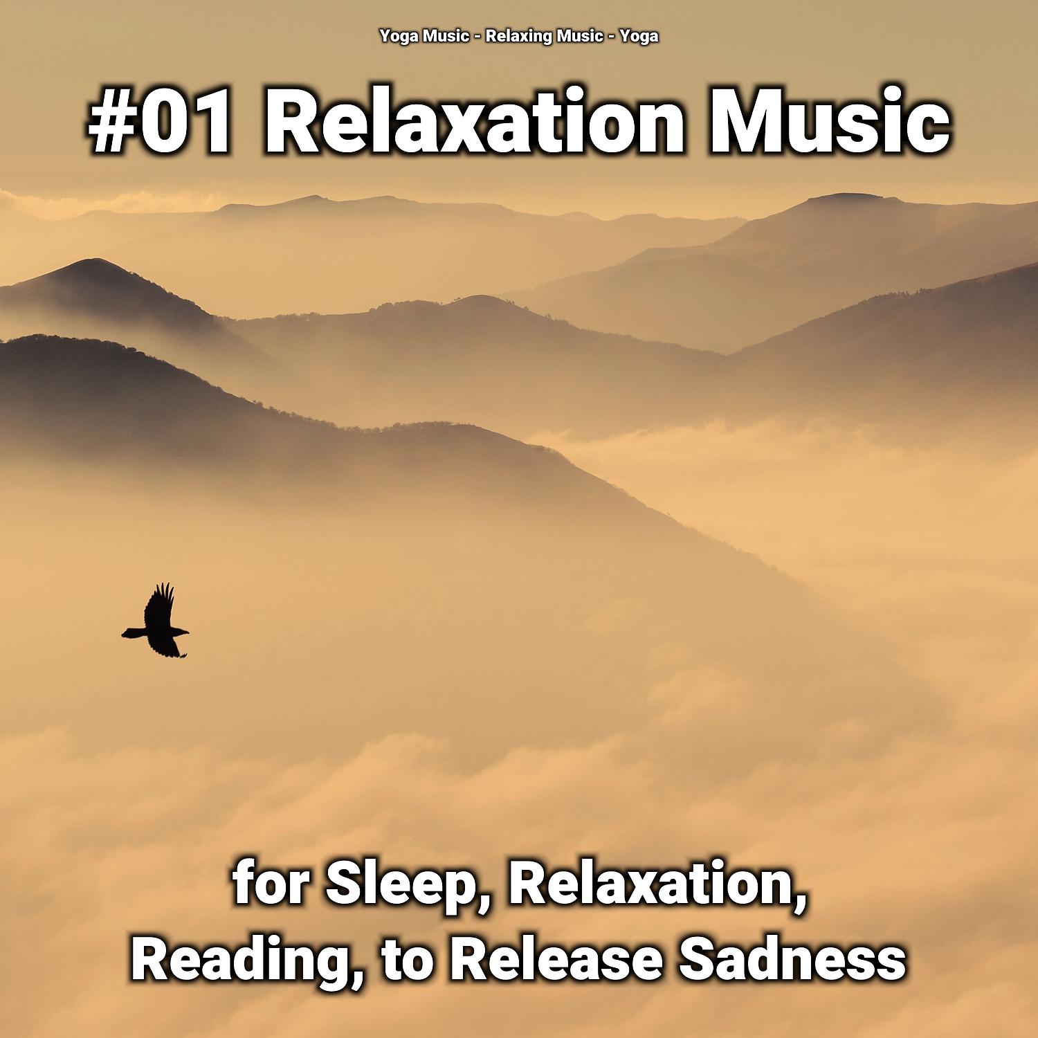 Постер альбома #01 Relaxation Music for Sleep, Relaxation, Reading, to Release Sadness