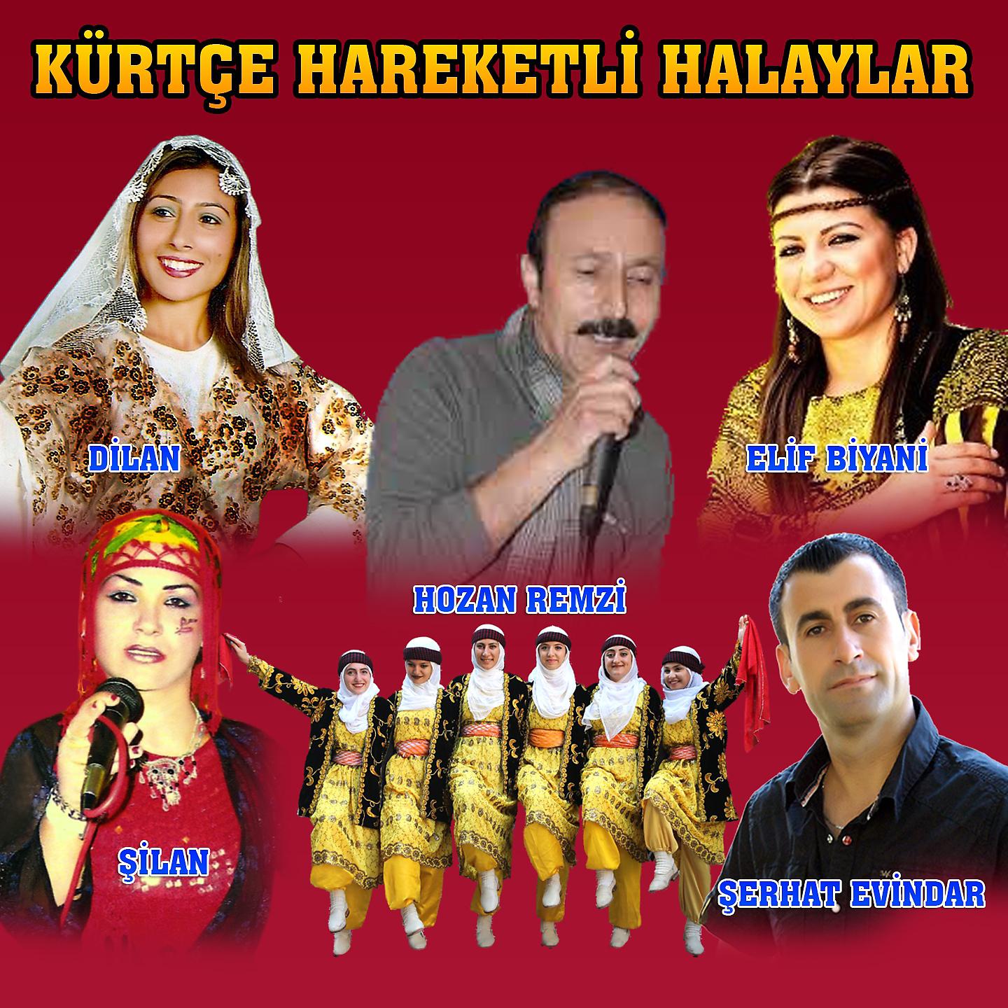 Постер альбома Kürtçe Hareketli Halaylar