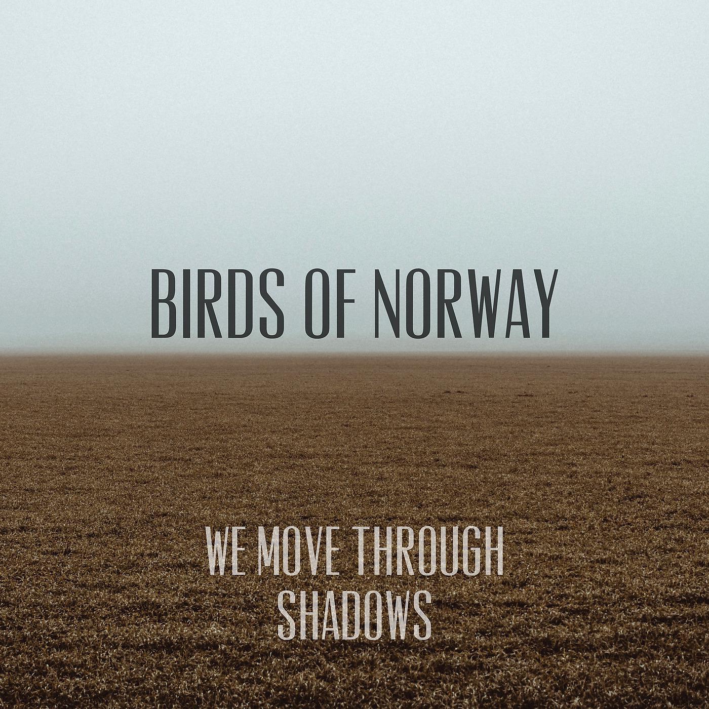 Постер альбома We Move Through Shadows