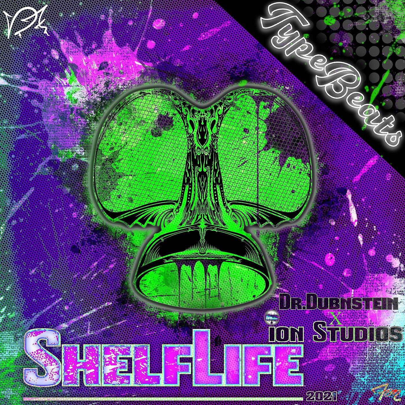 Постер альбома ShelfLife 2021 Type Beats