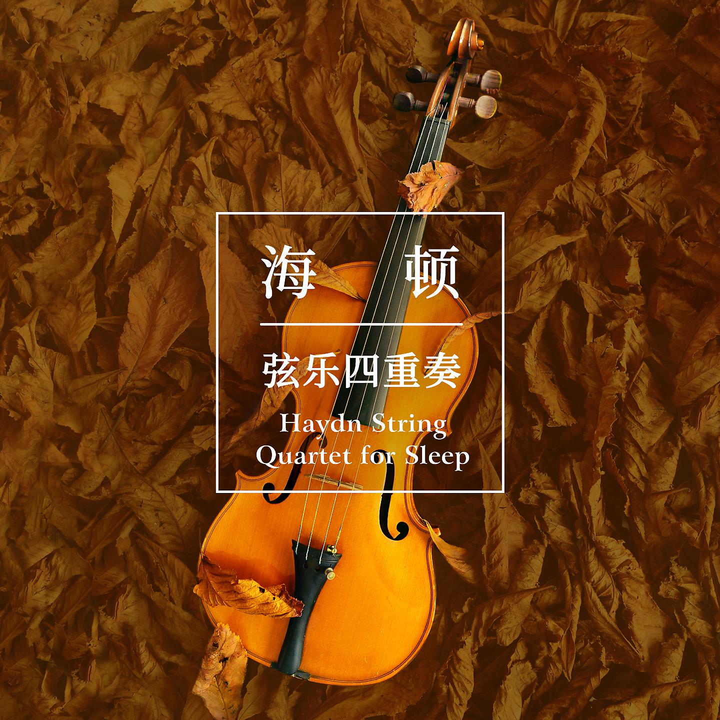Постер альбома Haydn String Quartet for Sleep