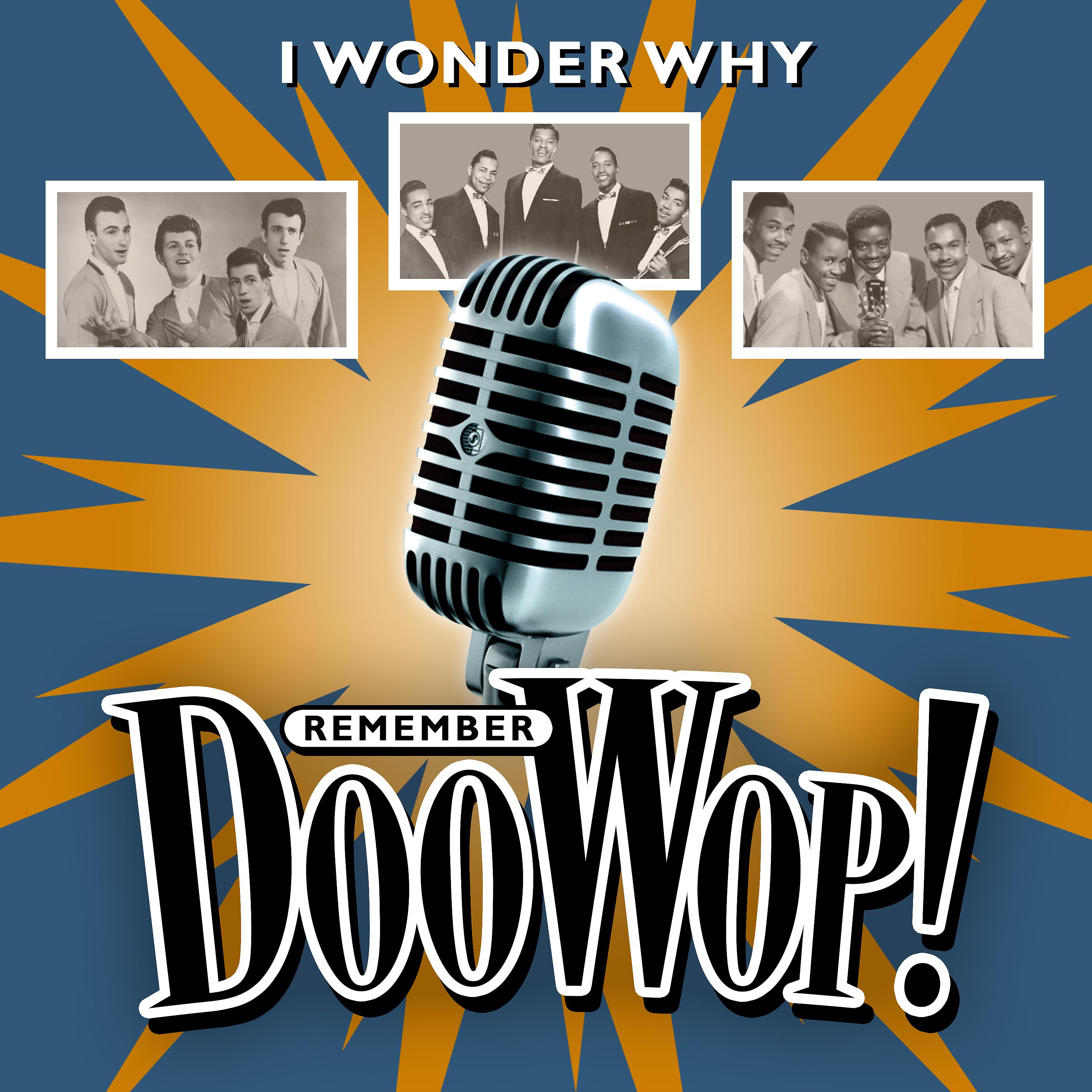 Постер альбома I Wonder Why (Remember Doo Wop)