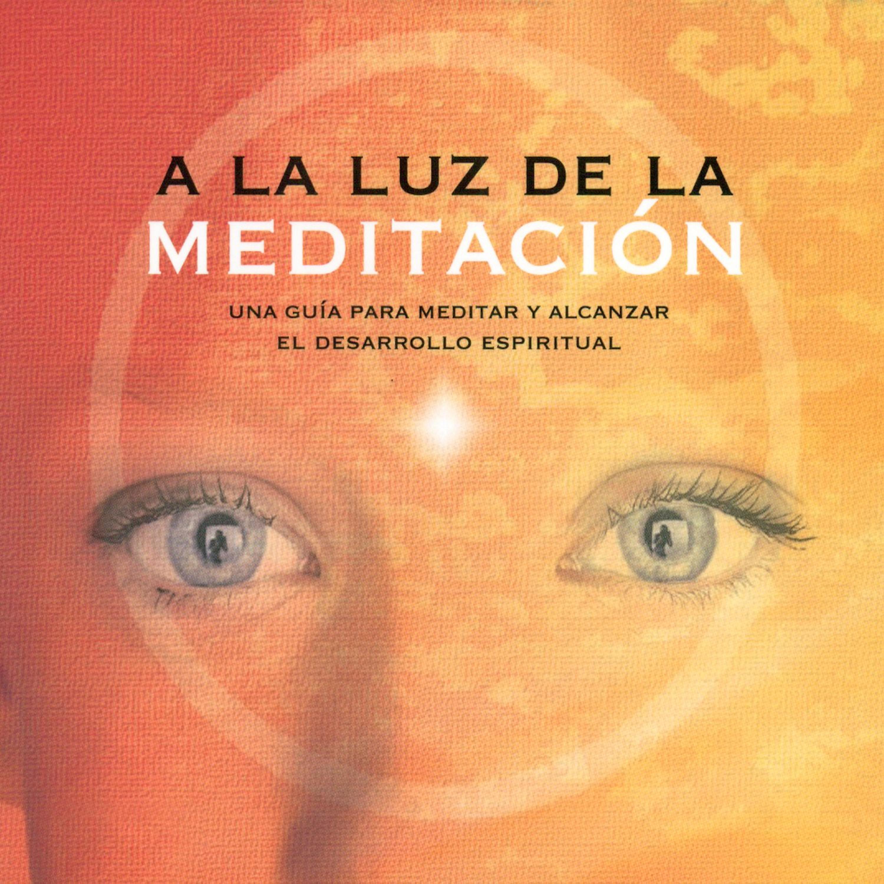 Постер альбома A la Luz de la Meditación