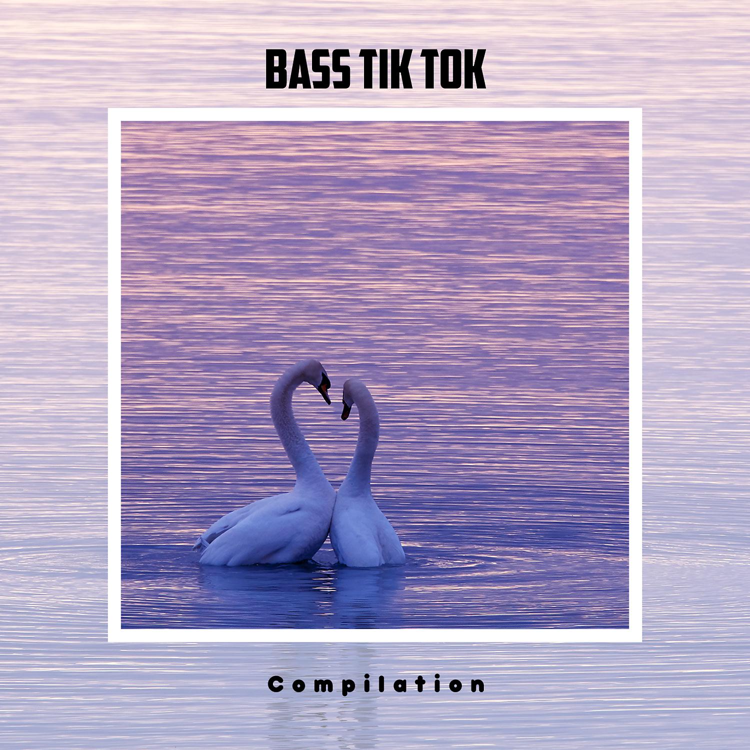 Постер альбома Bass TiK ToK Compilation