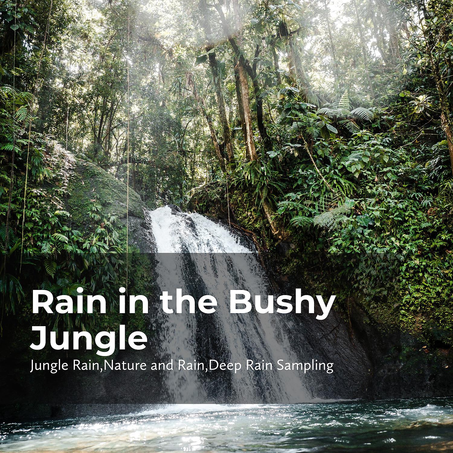 Постер альбома Rain in the Bushy Jungle