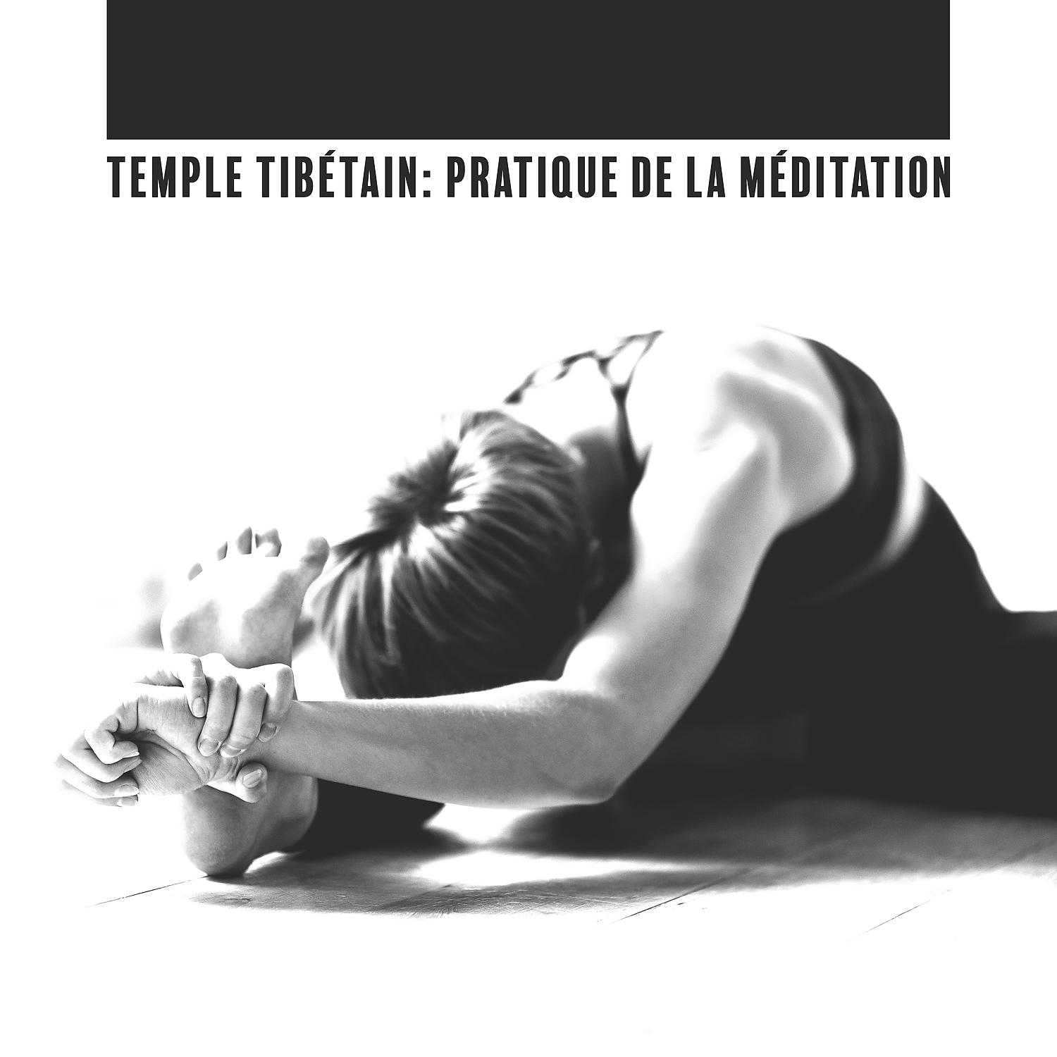 Постер альбома Temple tibétain: Pratique de la méditation. Thérapie orientale, Relaxation dans la nature, Guérison de l'esprit