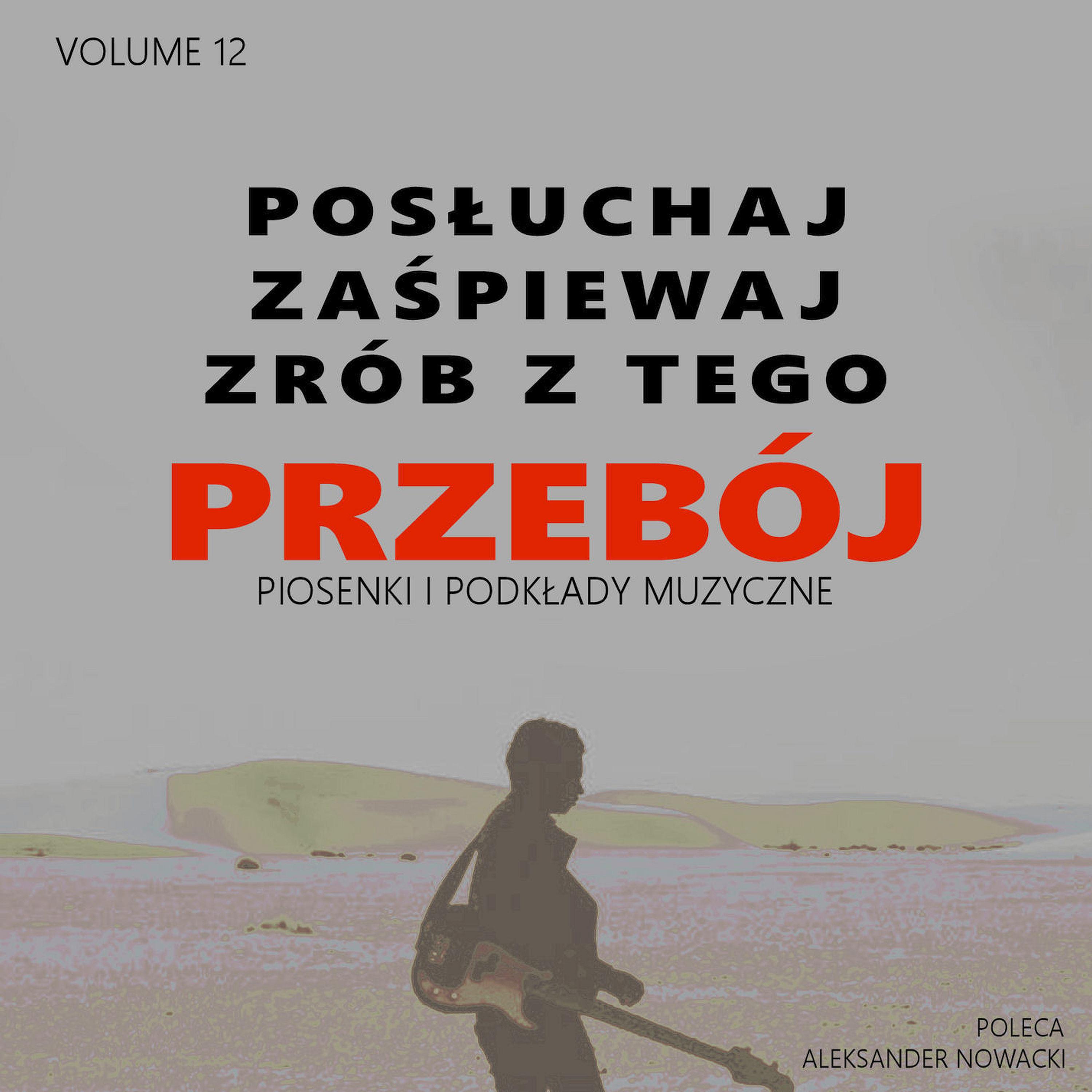 Постер альбома Posłuchaj zaśpiewaj zrób z tego Przebój, Vol. 12