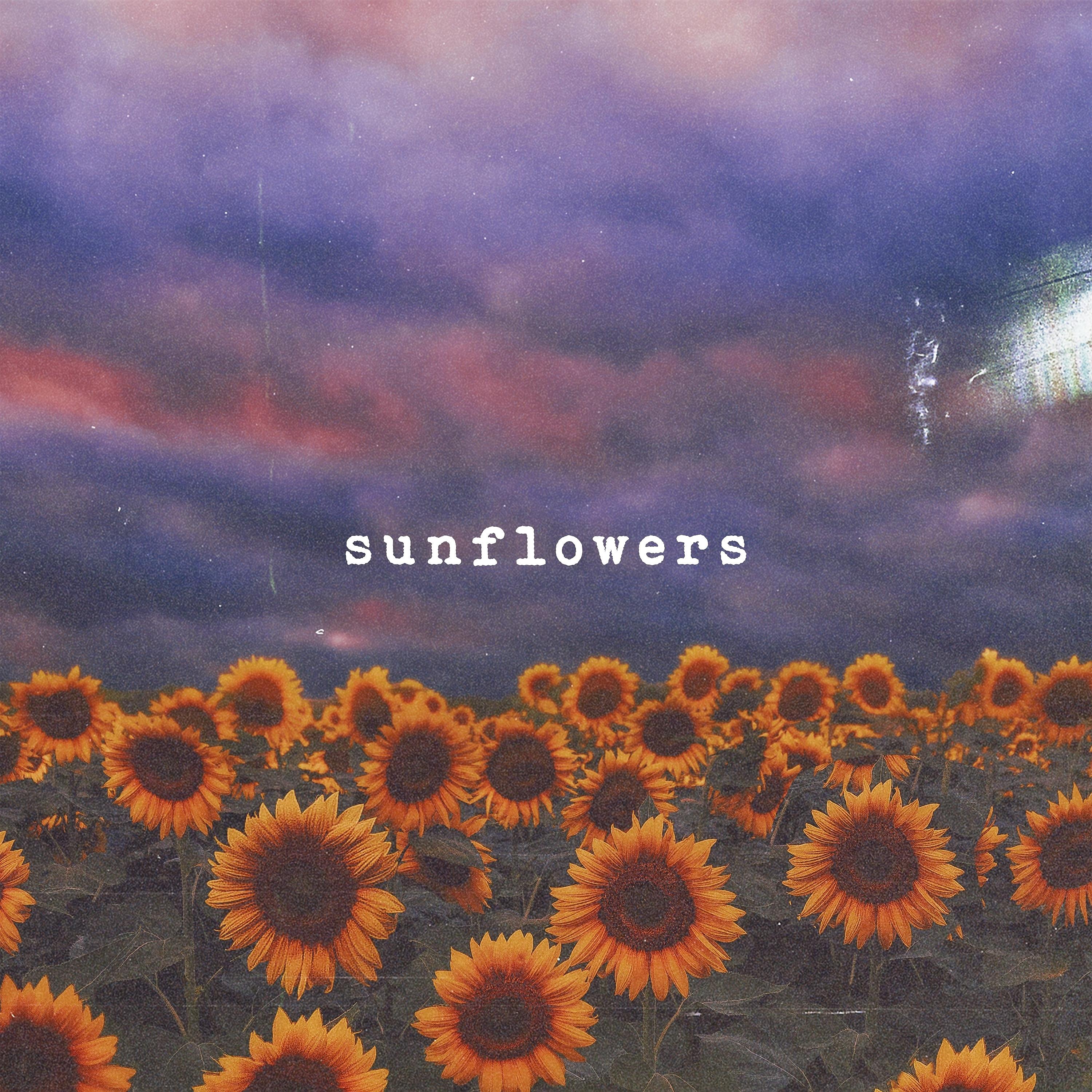 Постер альбома Sunflowers
