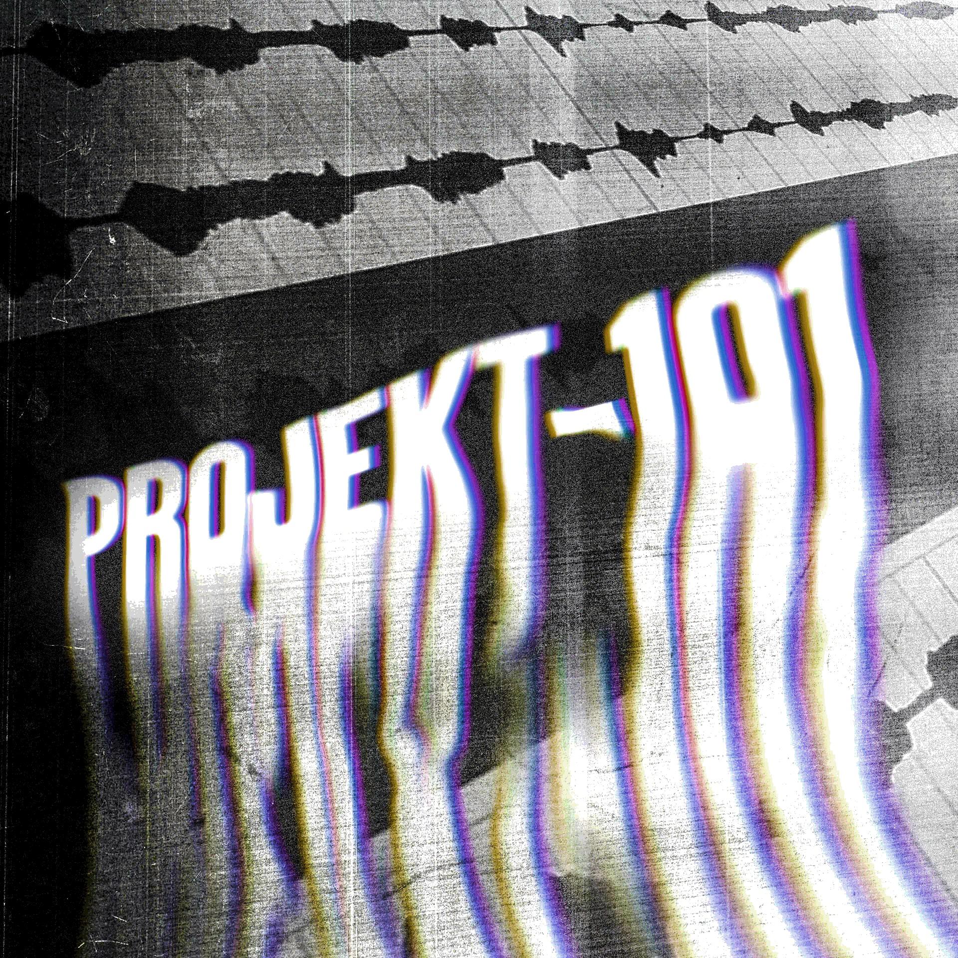 Постер альбома Projekt-101