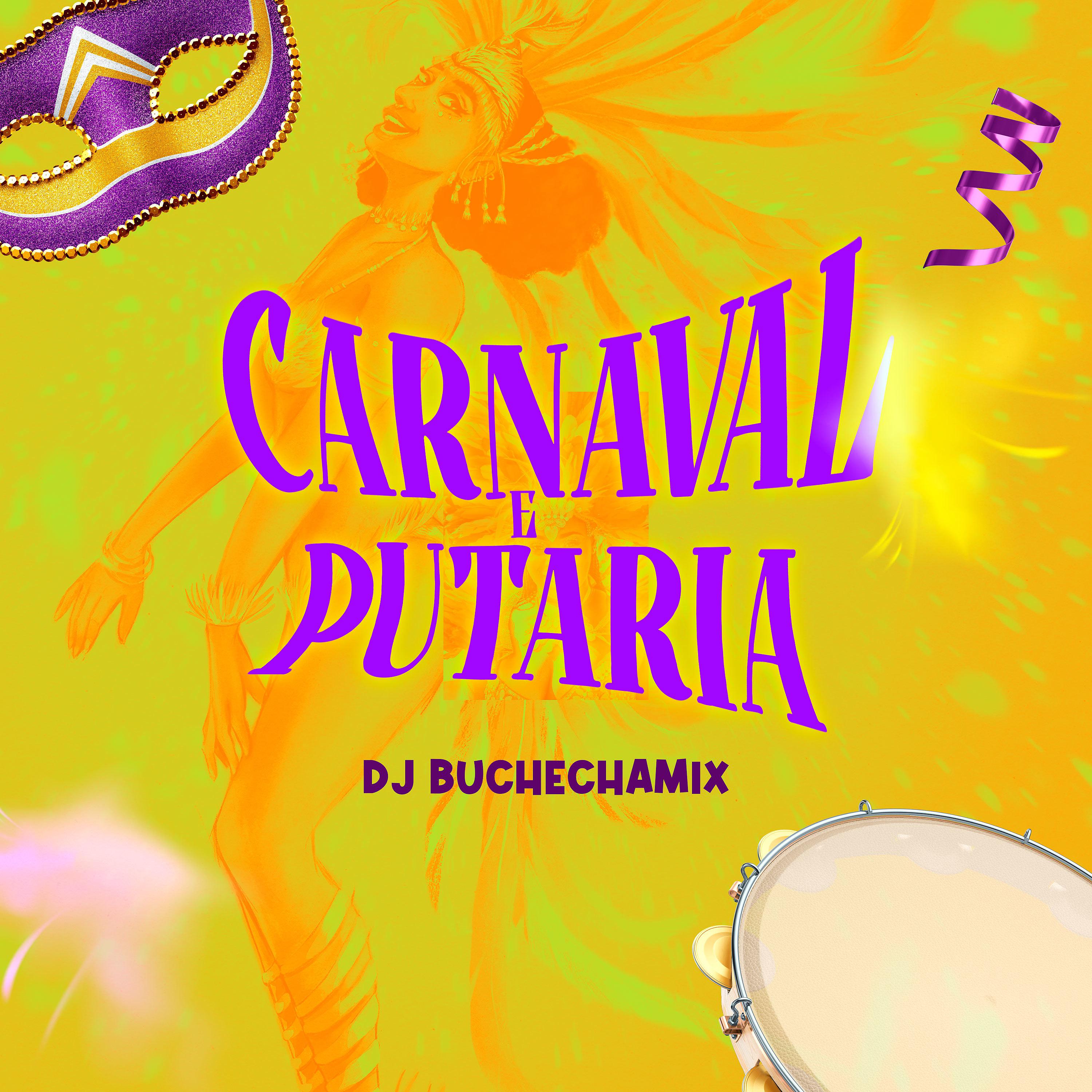 Постер альбома Carnaval e Putaria