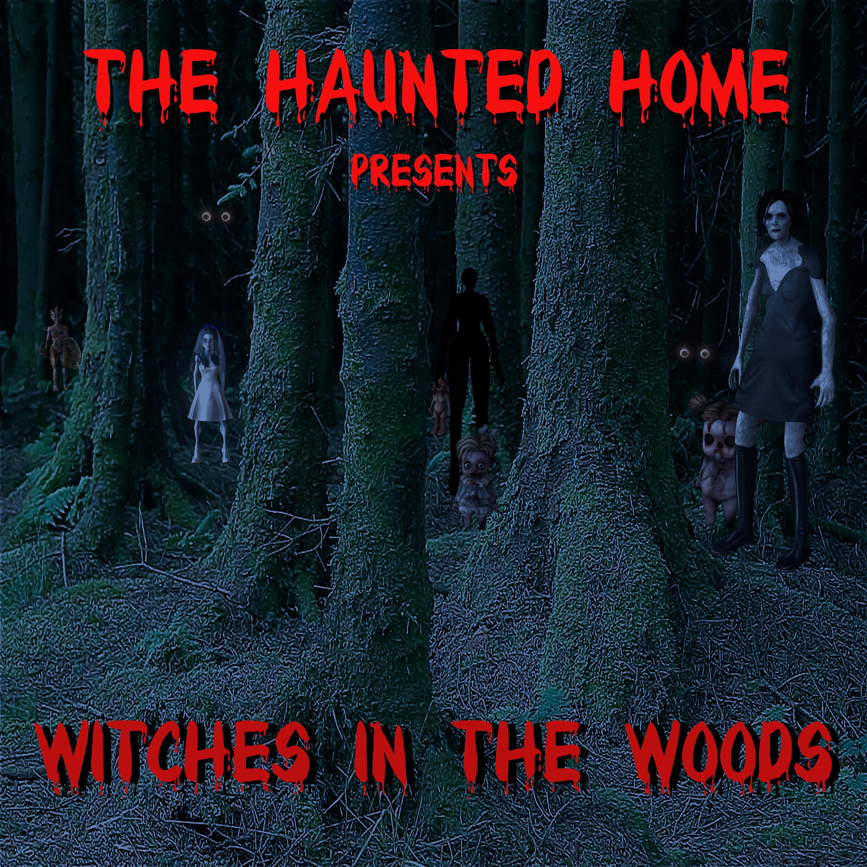 Постер альбома Witches in the Woods