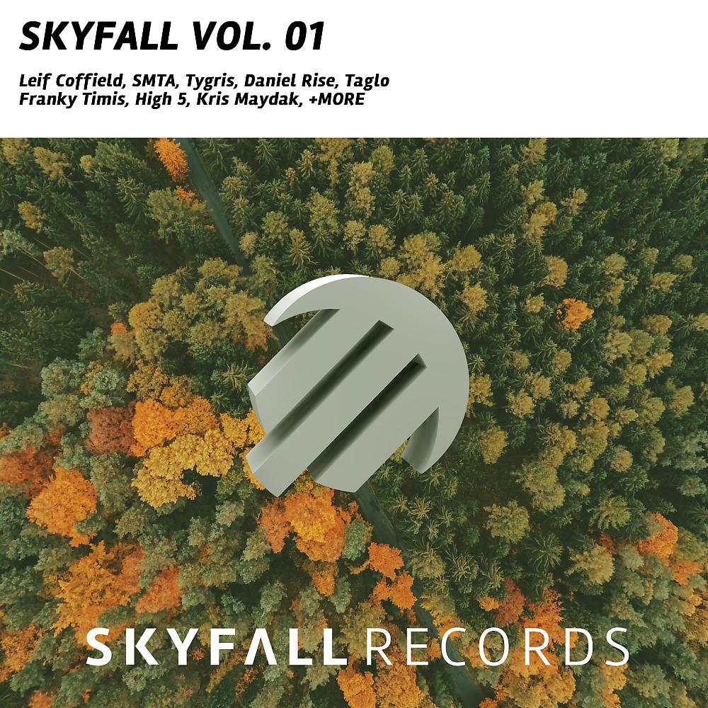 Постер альбома Skyfall, Vol. 01