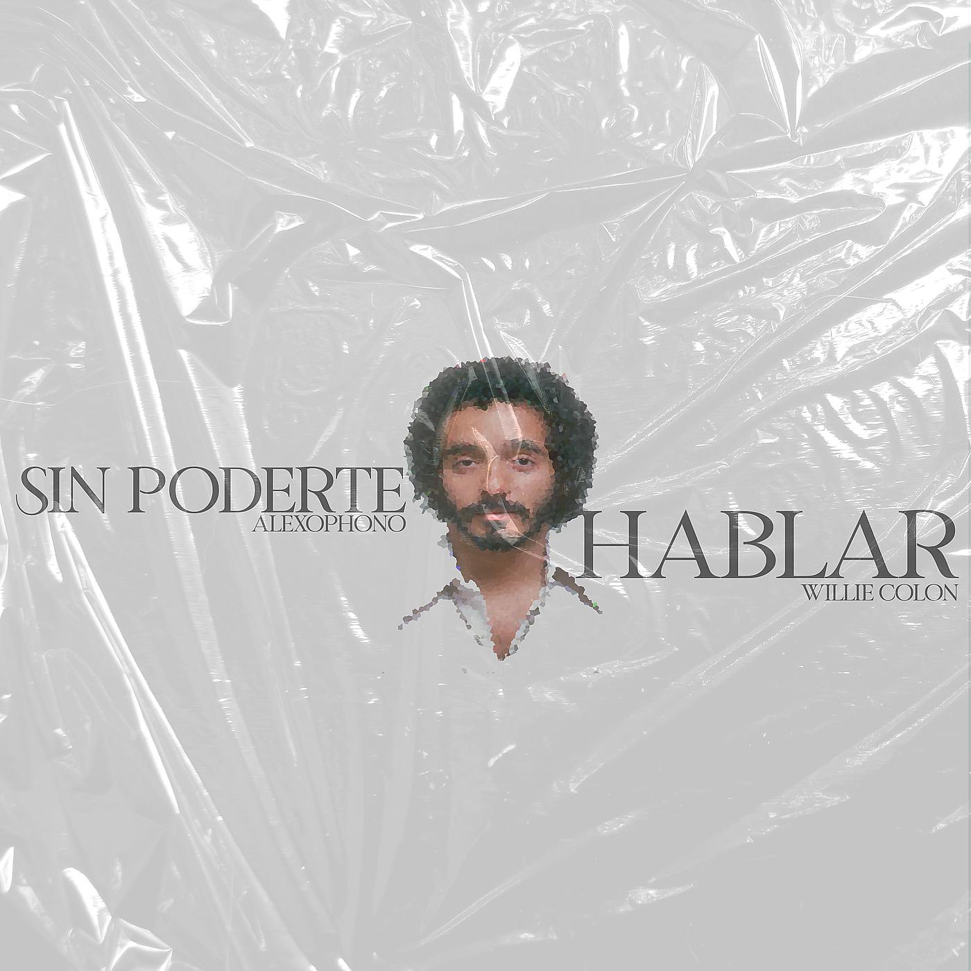 Постер альбома Sin Poderte Hablar