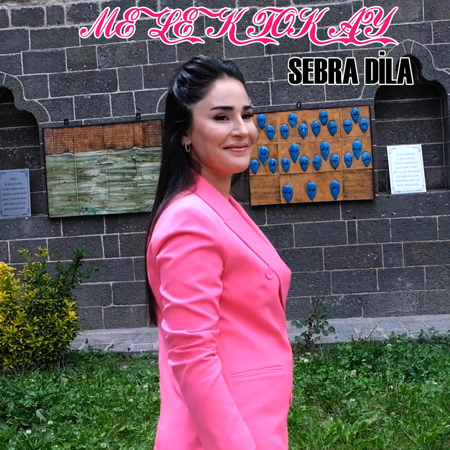 Постер альбома Sebra Dıla