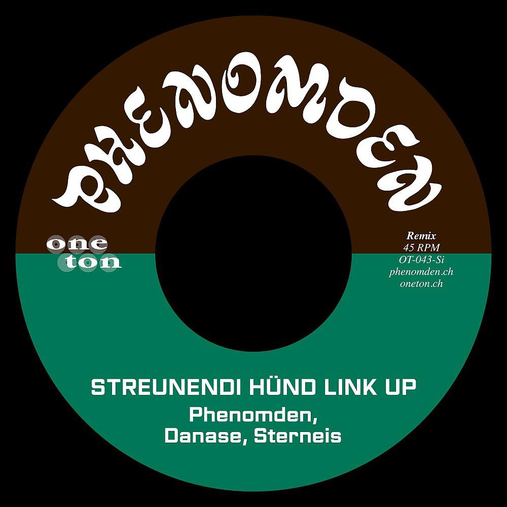 Постер альбома Streunendi Hünd Link up