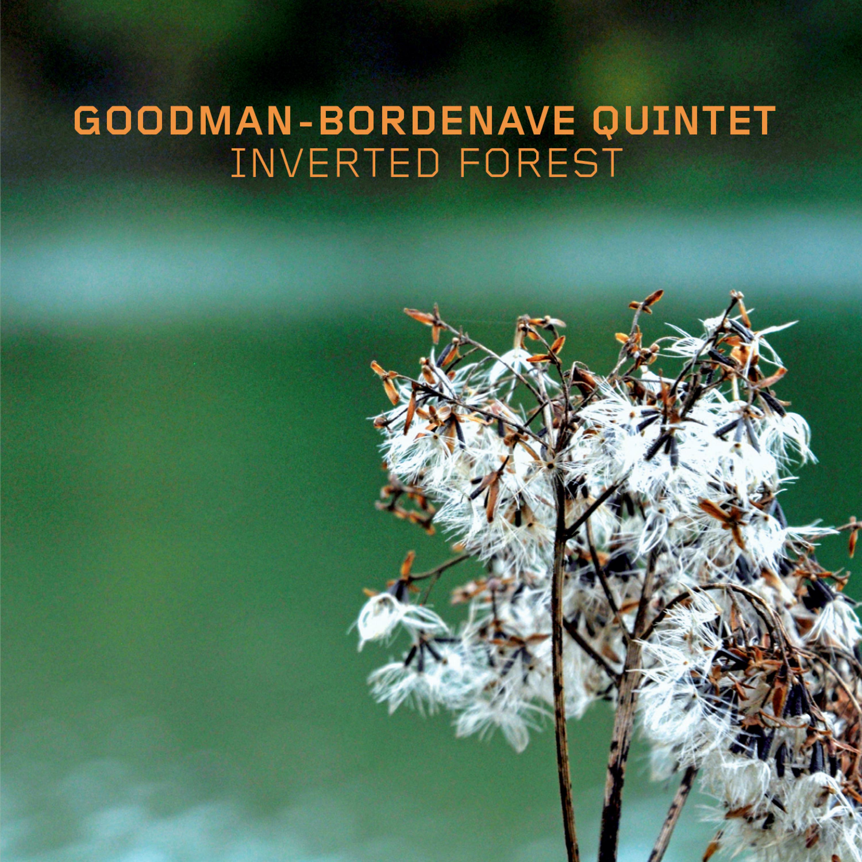 Постер альбома Inverted Forest