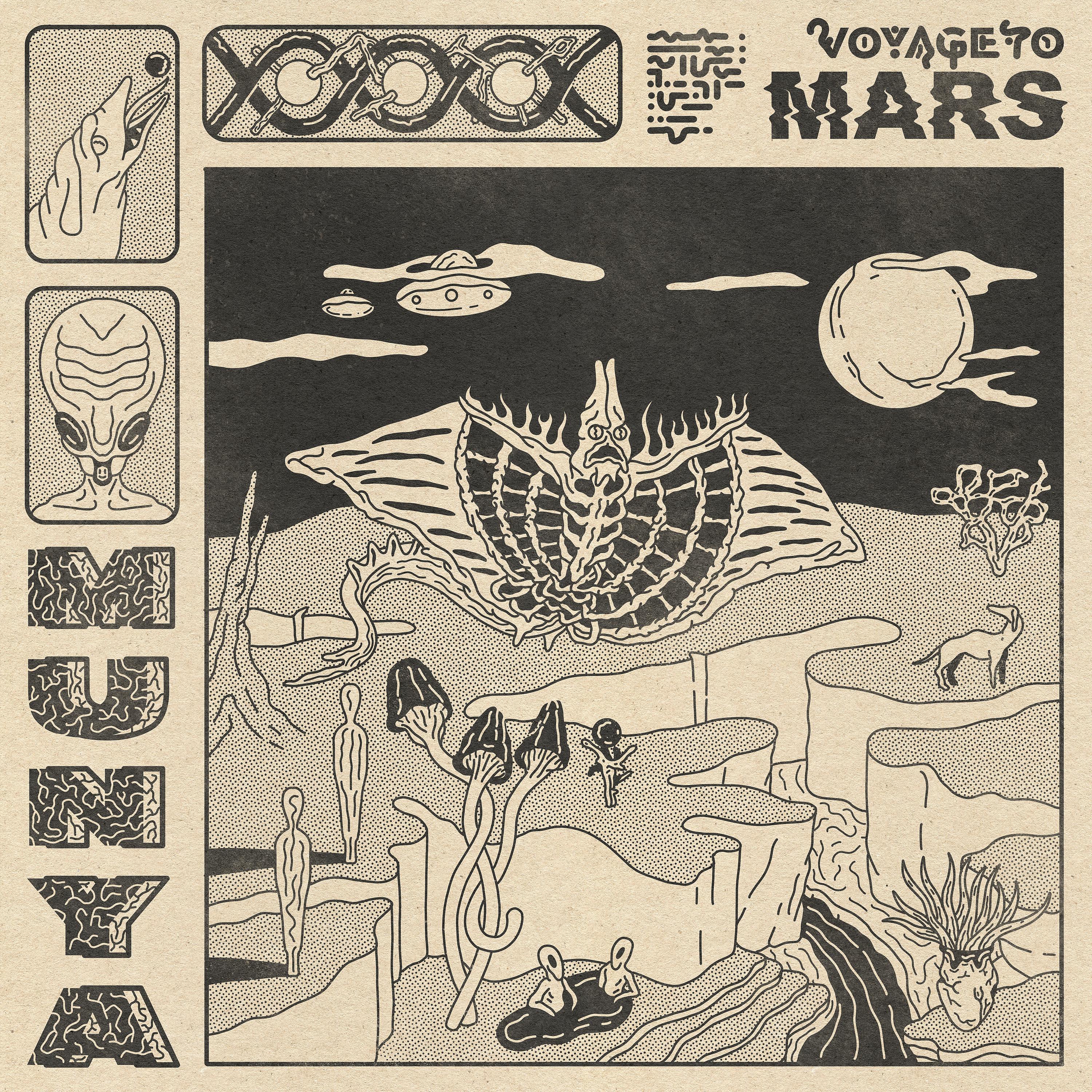 Постер альбома Voyage to Mars