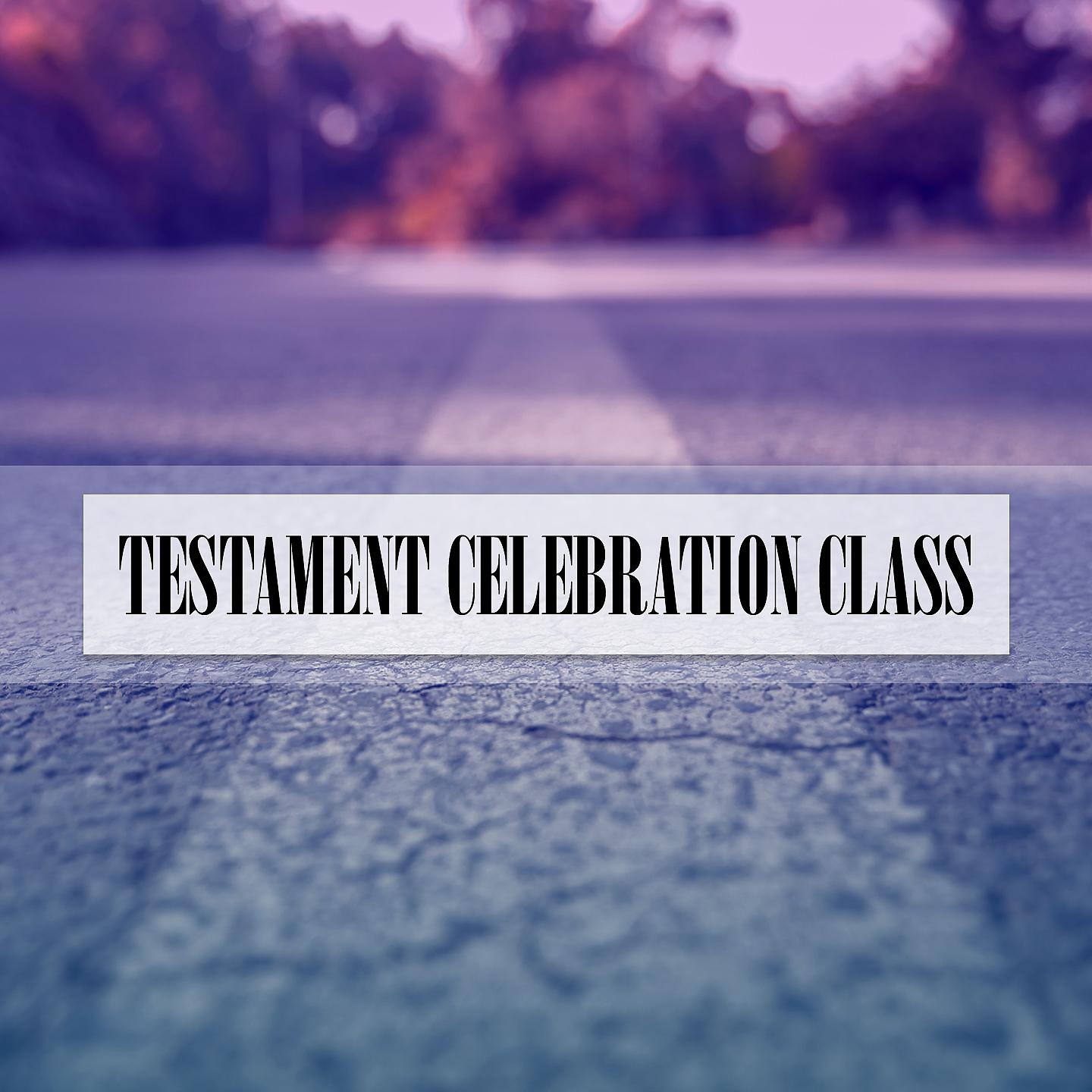 Постер альбома TESTAMENT CELEBRATION CLASS